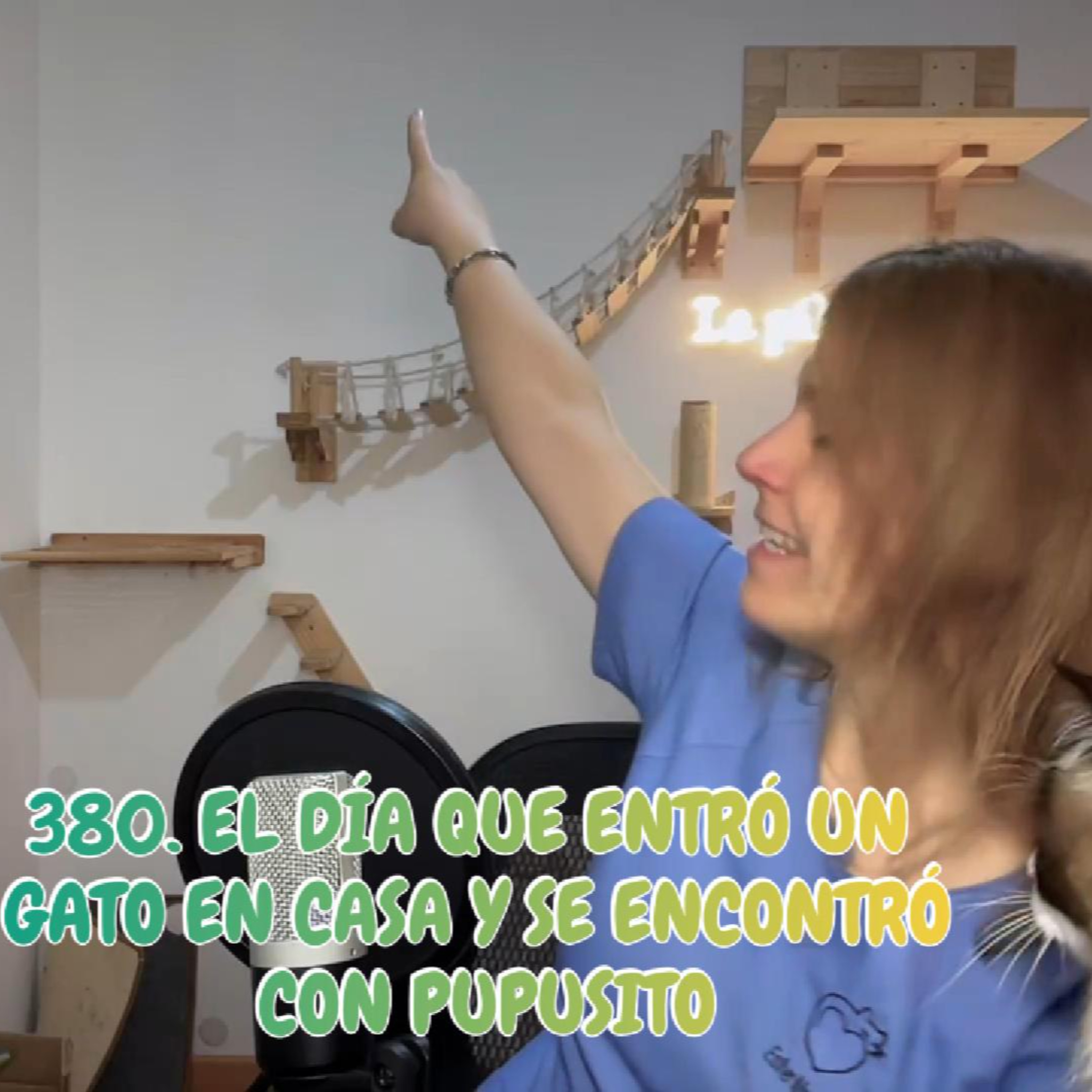 Imagen del episodio 380. El día que ENTRÓ UN GATO en casa y se encontró con Pupusito