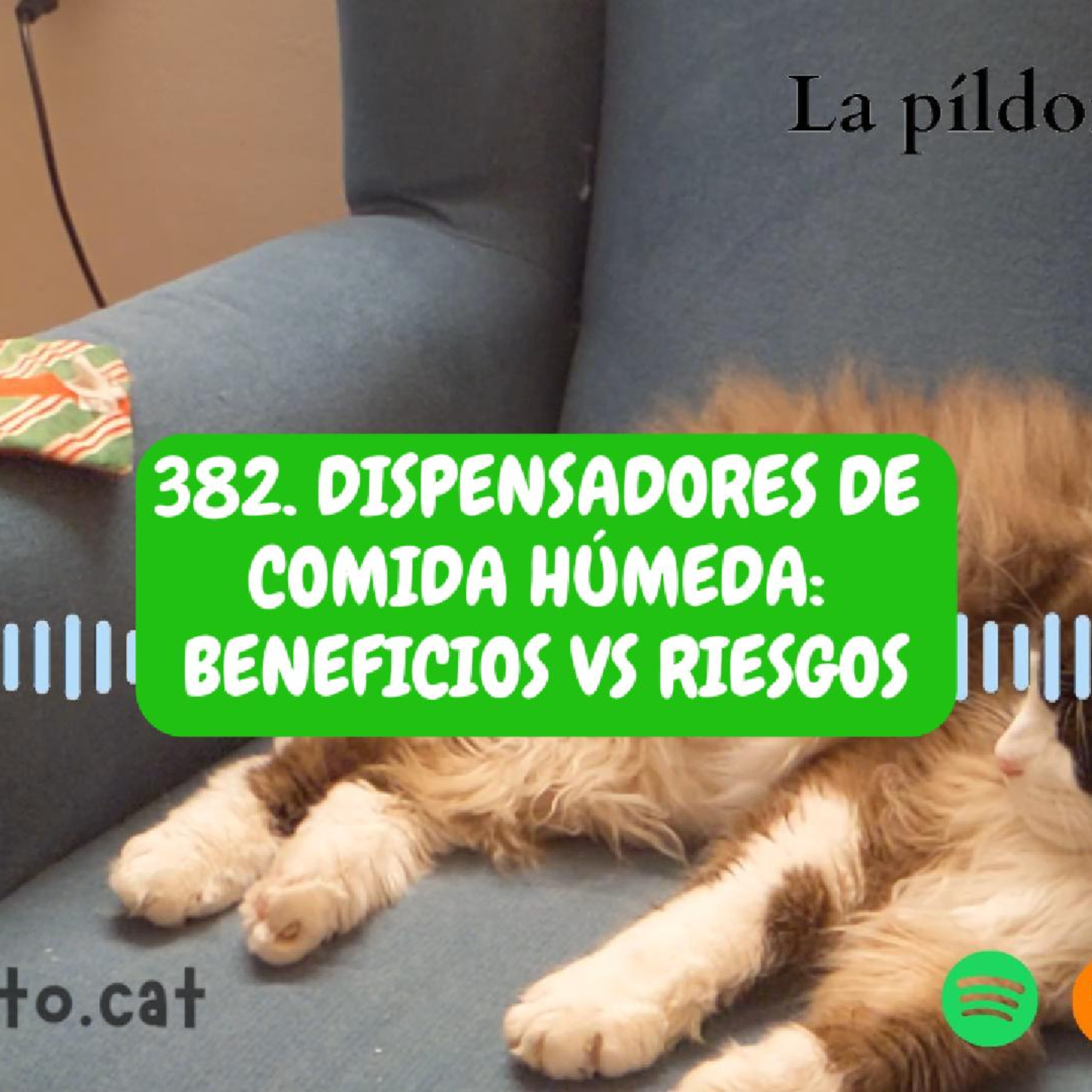 Imagen del episodio 382. Dispensadores de comida húmeda: beneficios vs riesgos para tu gato