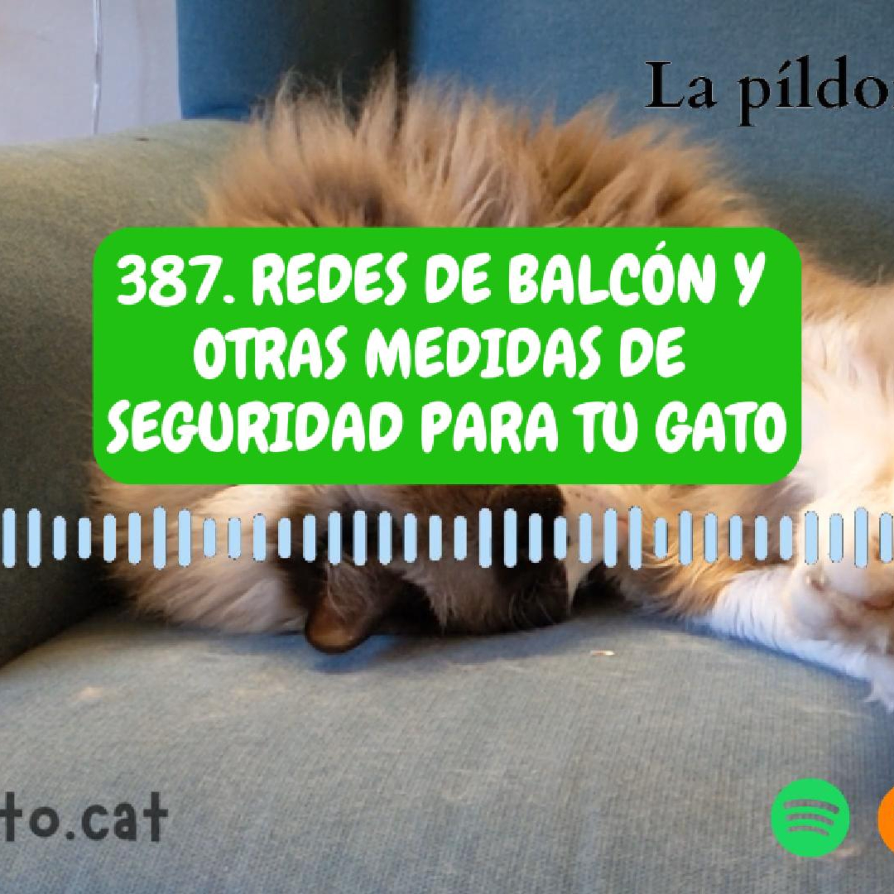 Imagen del episodio 387. Redes de balcón y otras medidas de seguridad para tu gato