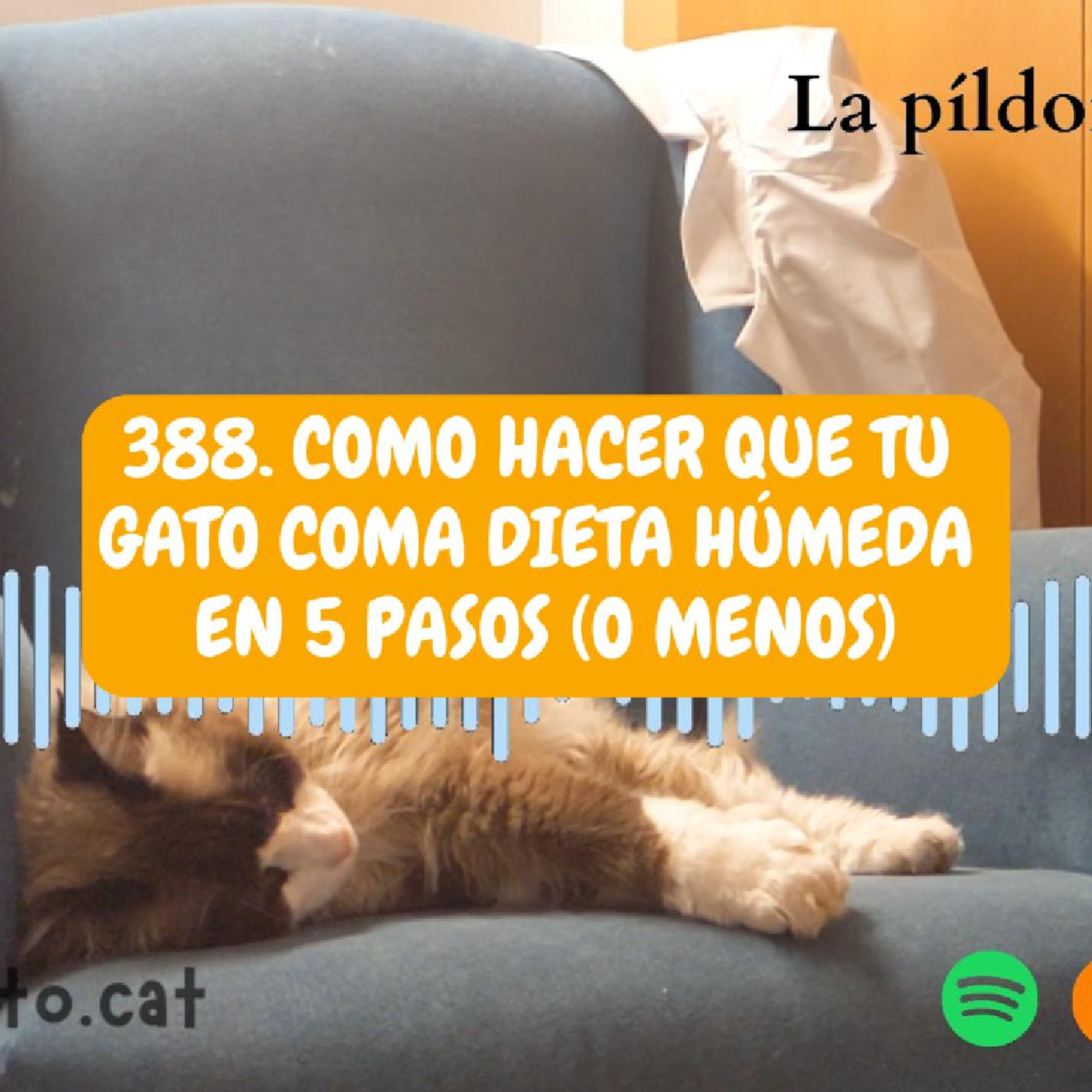 Imagen del episodio 388. Como hacer que tu gato coma dieta húmeda en 5 pasos (o menos)