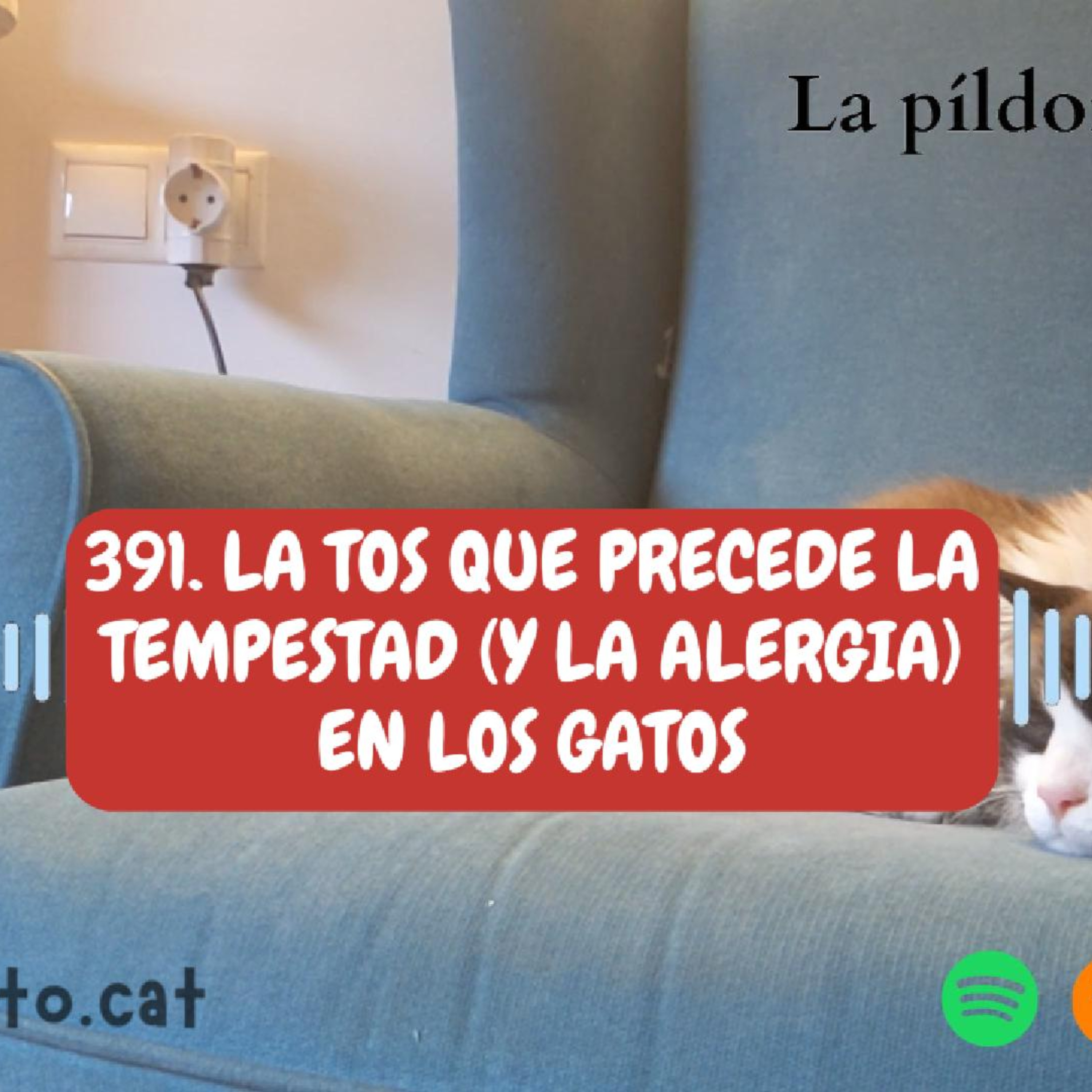 Imagen del episodio 391. La TOS que precede la tempestad (y la ALERGIA) en los gatos
