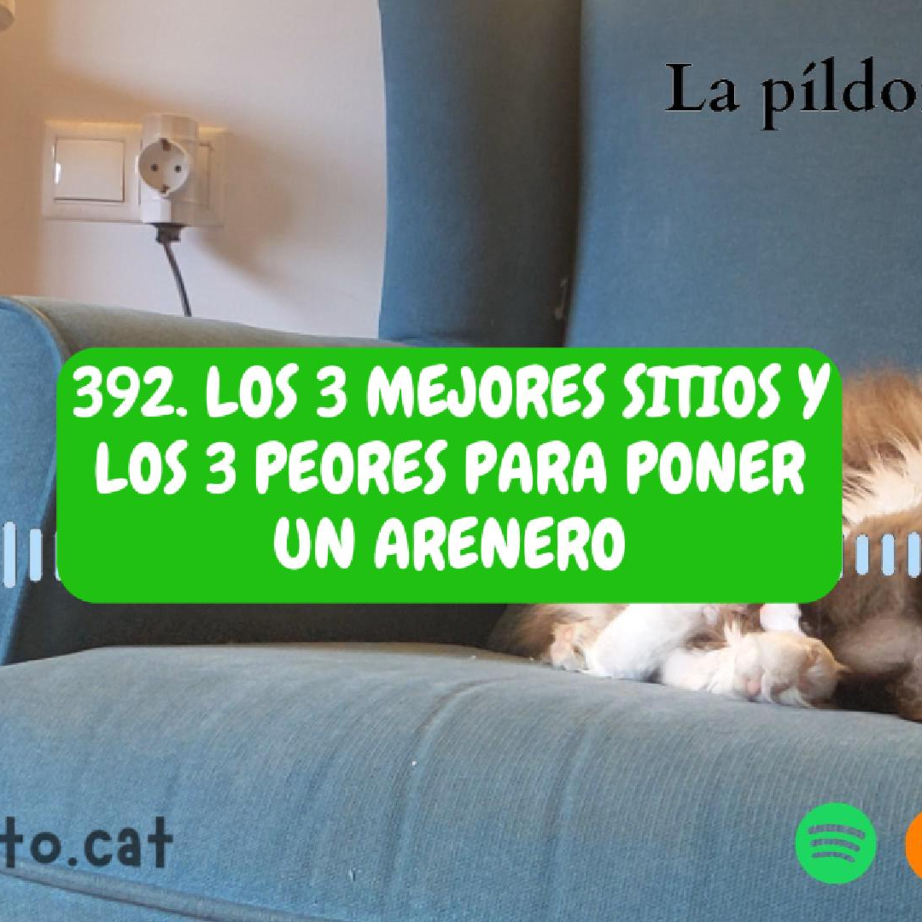 Imagen del episodio 392. Los 3 MEJORES sitios y los 3 PEORES para poner un ARENERO