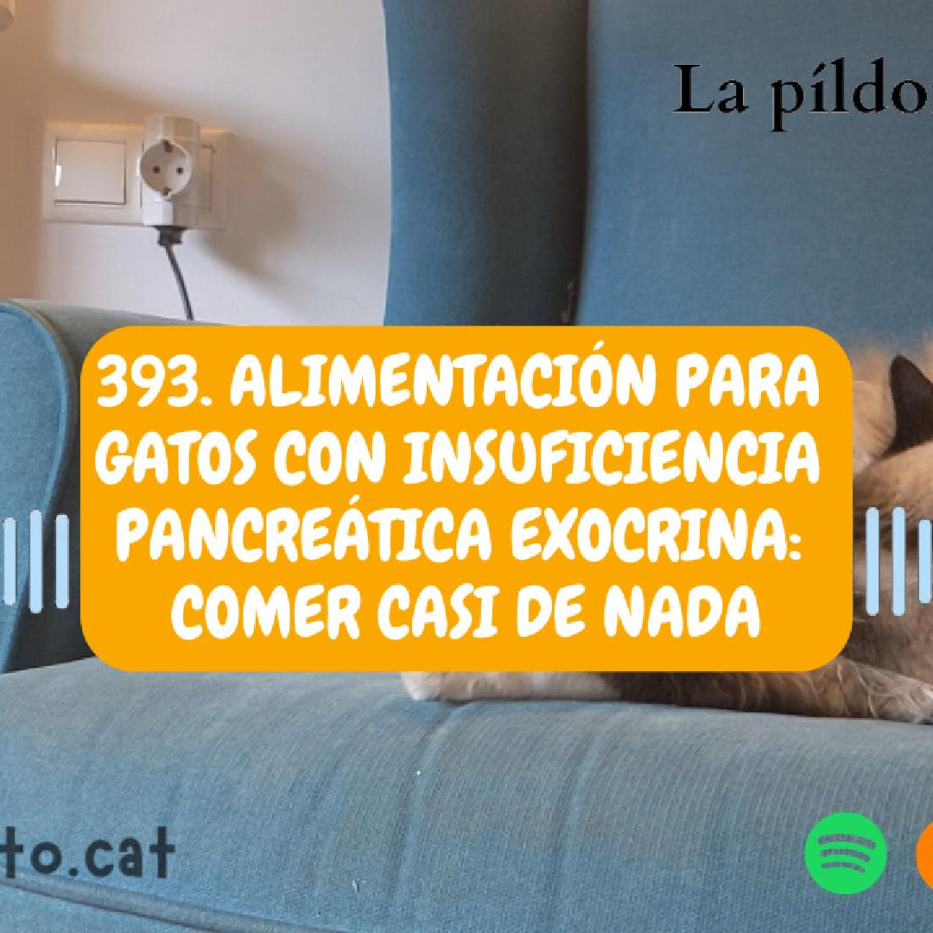 Imagen del episodio 393. Alimentación para gatos con insuficiencia pancreática exocrina: comer casi de nada