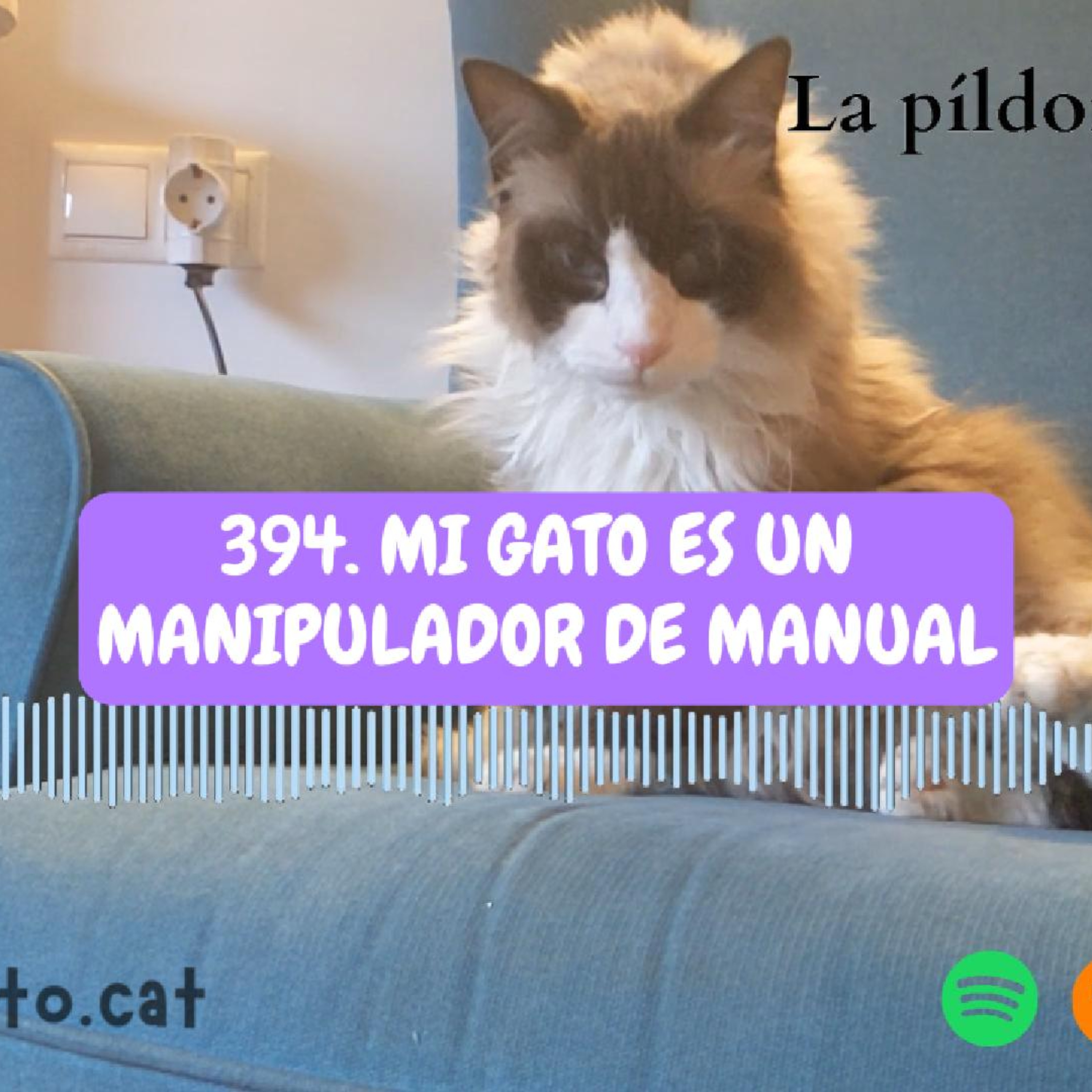 Imagen del episodio 394. Mi gato es un MANIPULADOR de manual