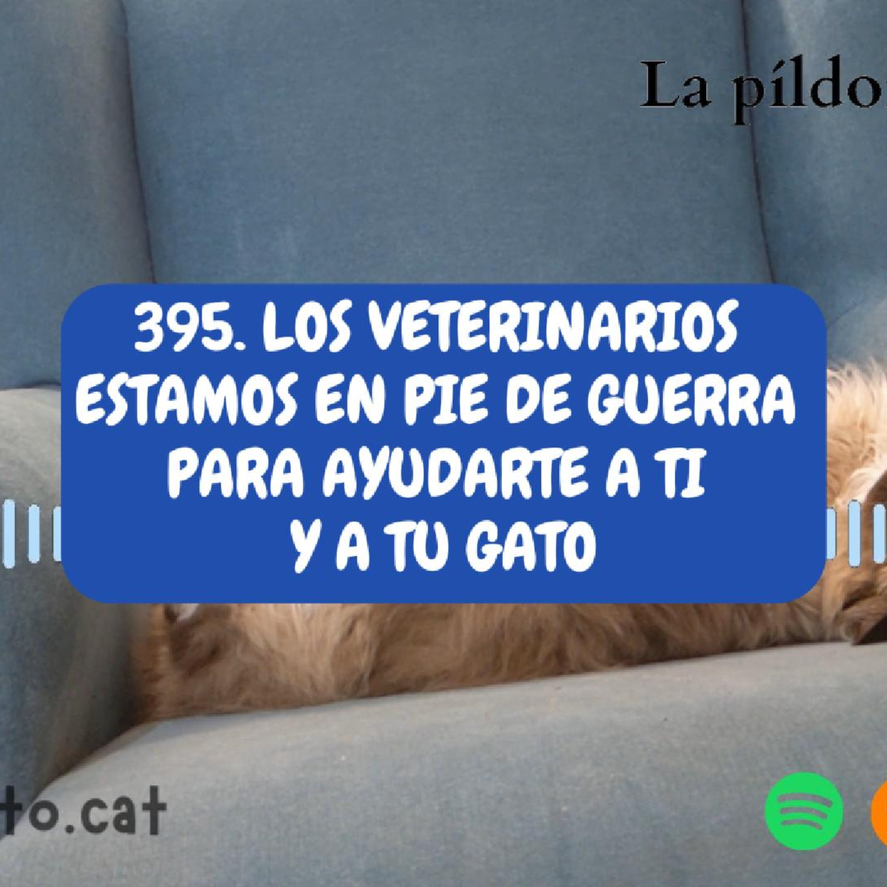Imagen del episodio 395. Los veterinarios ESTAMOS EN PIE DE GUERRA para ayudarte a ti Y A TU GATO