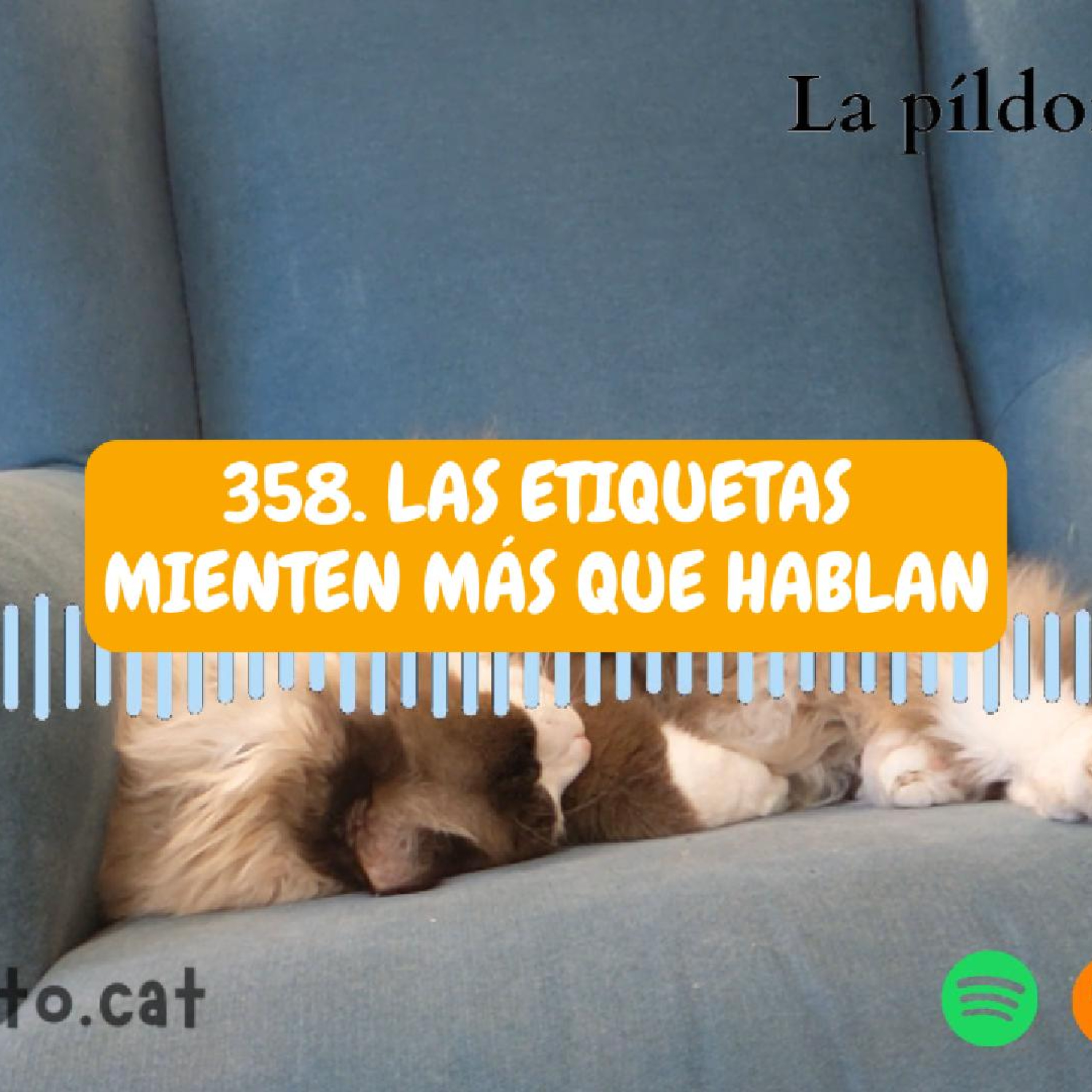 Imagen del episodio 358. Las etiquetas MIENTEN más que hablan (cuidado con la comida de tu gato)