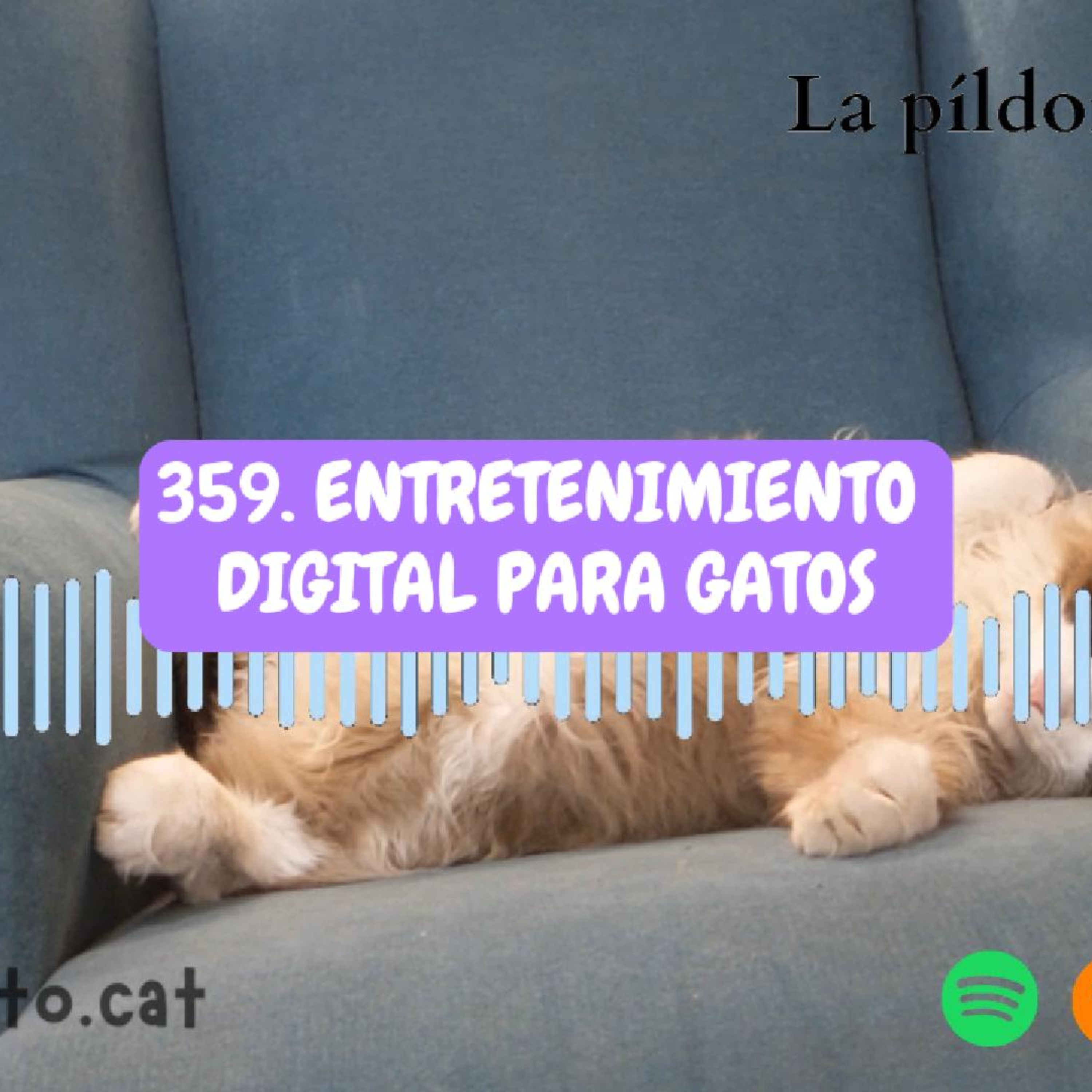 Imagen del episodio 359. Entretenimiento digital para gatos
