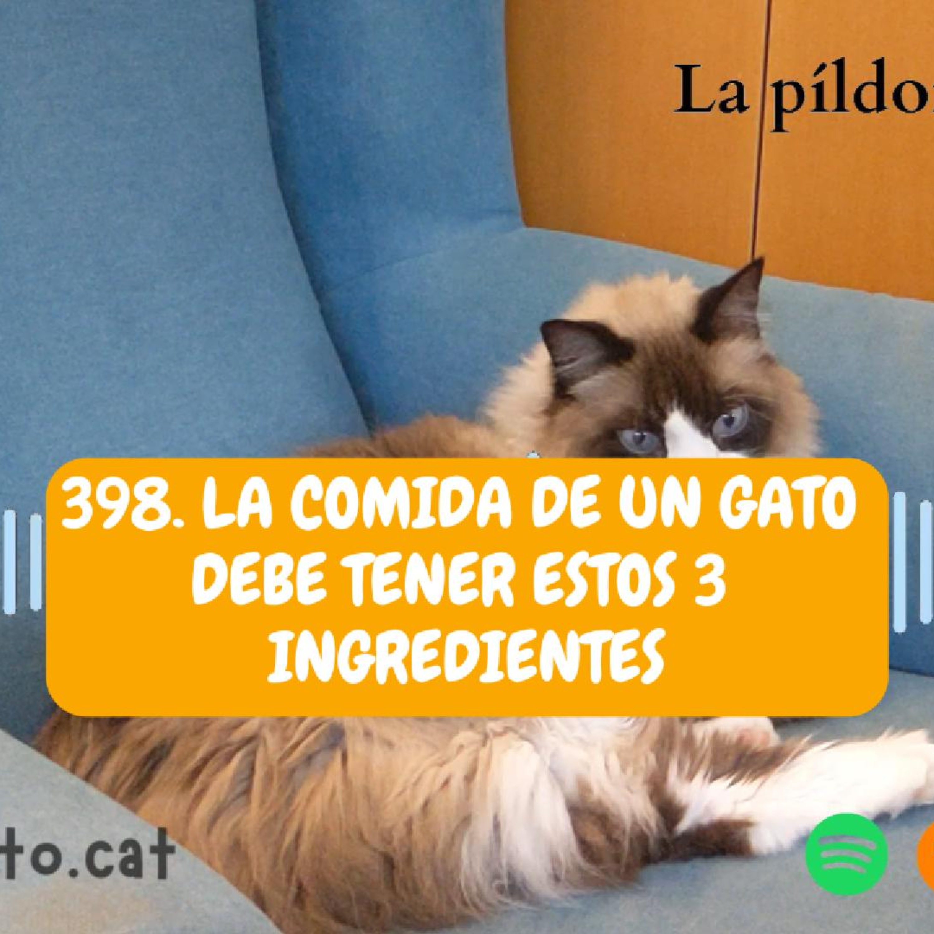 Imagen del episodio 398. La comida de un gato DEBE TENER estos 3 ingredientes
