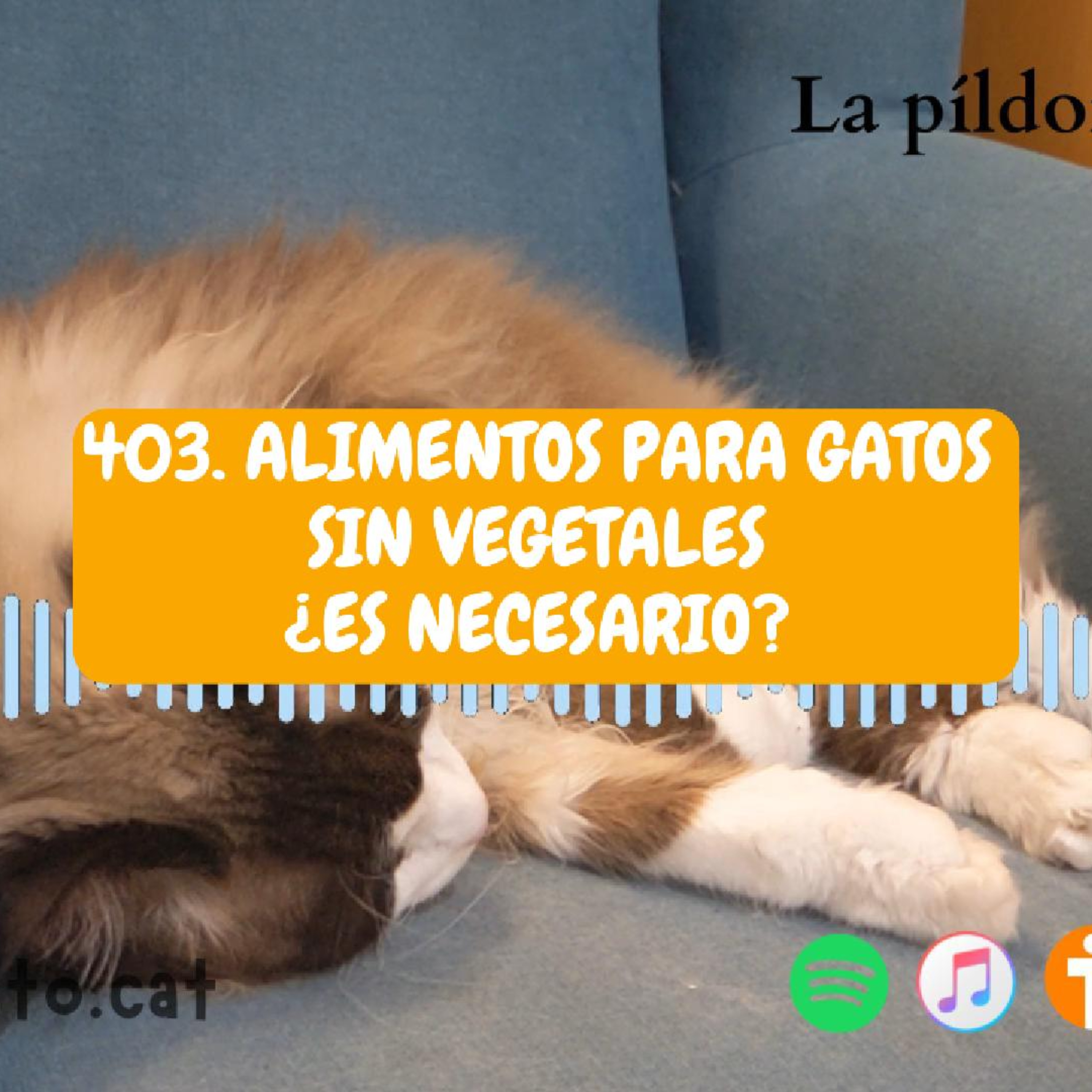 Imagen del episodio 403. Alimentos para gatos SIN VEGETALES ¿es necesario?