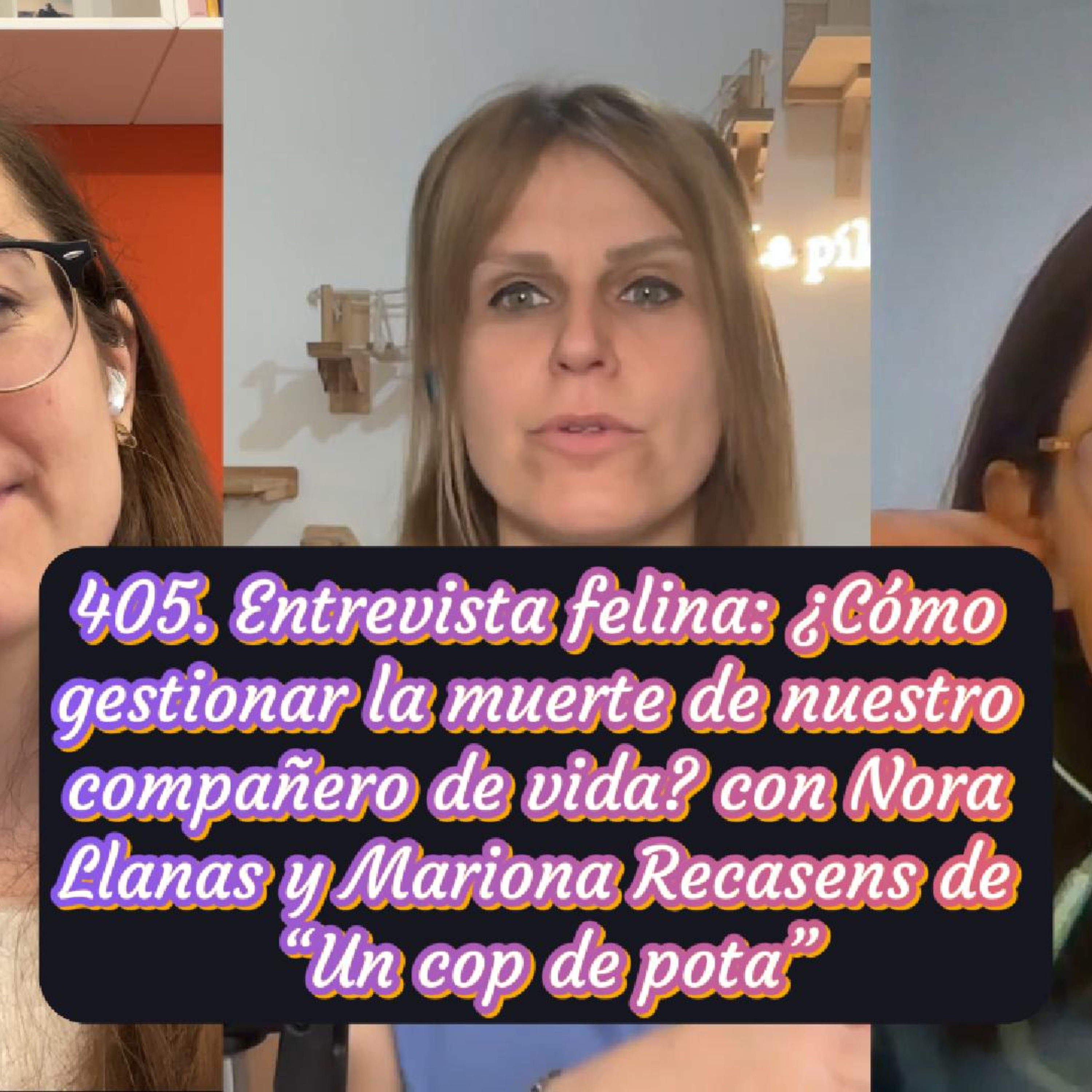 Imagen del episodio 405. Entrevista felina: ¿Cómo gestionar la muerte de nuestro compañero de vida? con Nora Llanas y Mariona Recasens de “Un cop de pota”