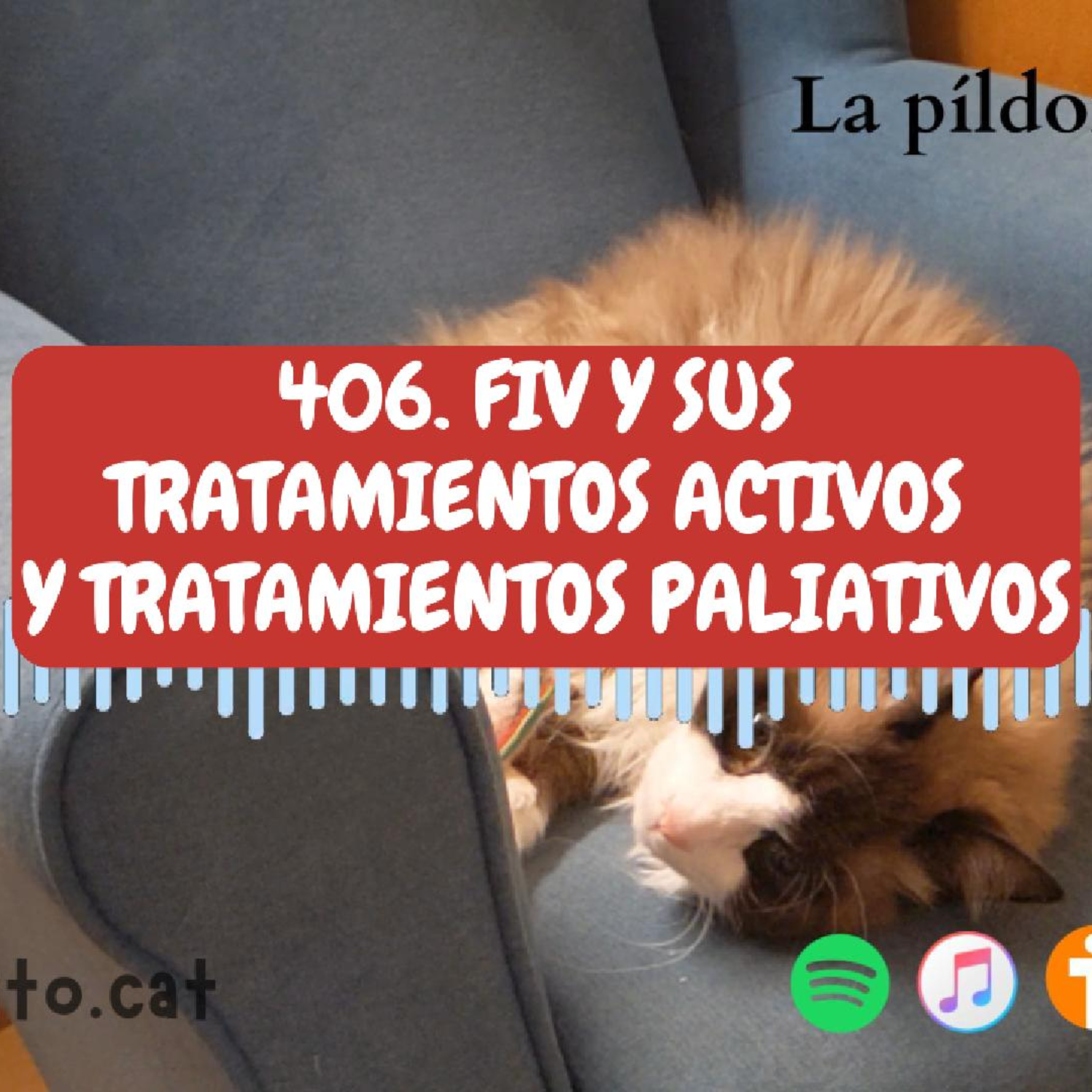Imagen del episodio 406. La Inmunodeficiencia felina y sus tratamientos ACTIVOS y tratamientos PALIATIVOS