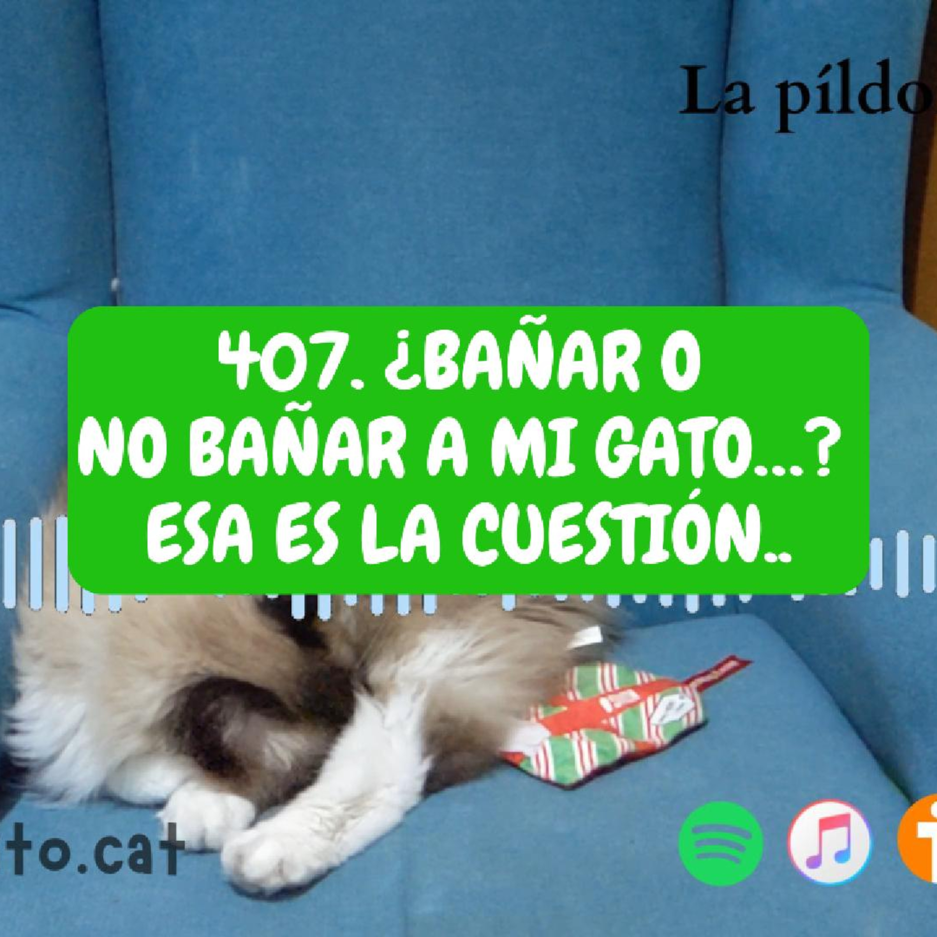 Imagen del episodio 407. ¿Bañar o no bañar a mi gato...? Esa es la cuestión..