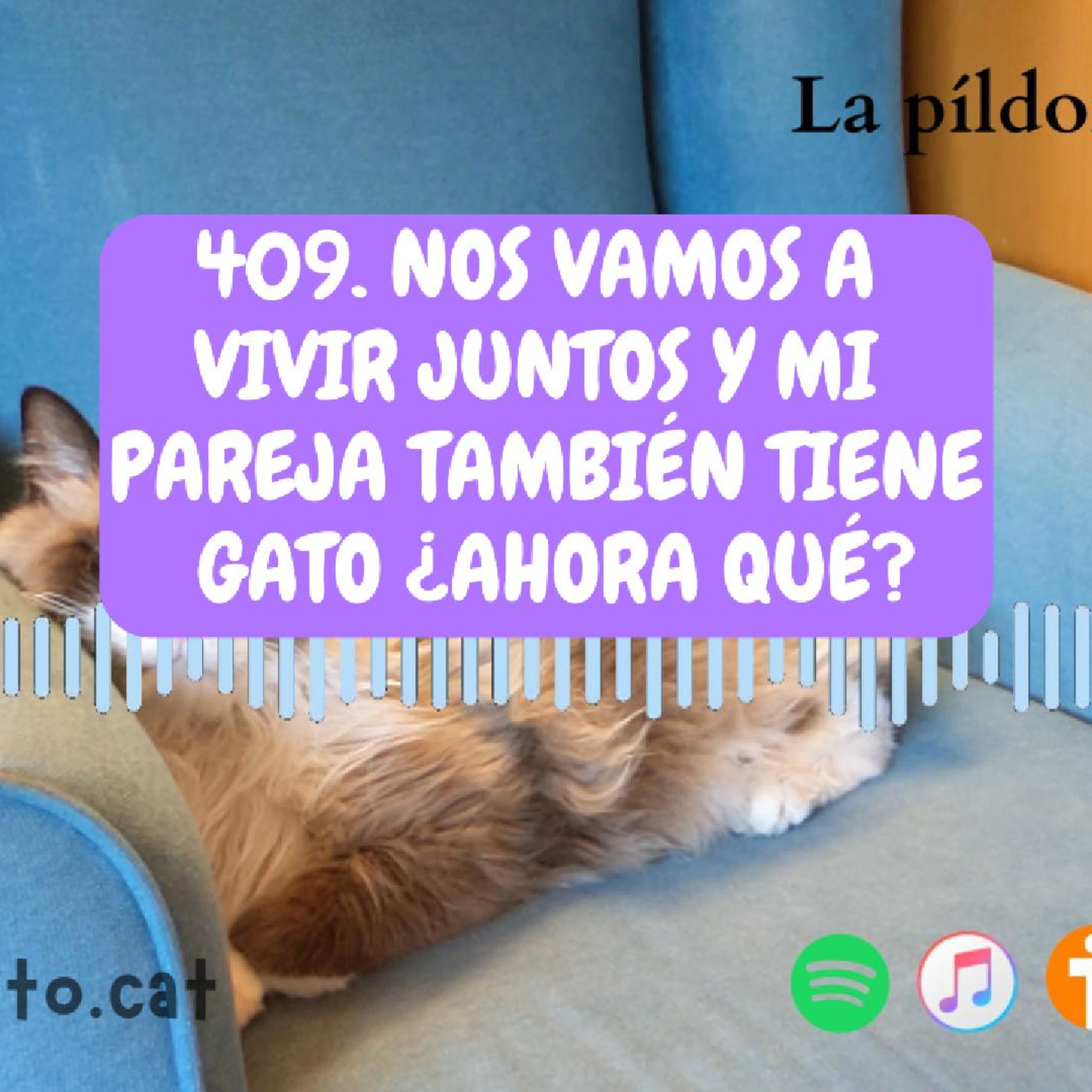 Imagen del episodio 409. Nos vamos a vivir juntos y mi pareja también tiene gato ¿ahora qué?