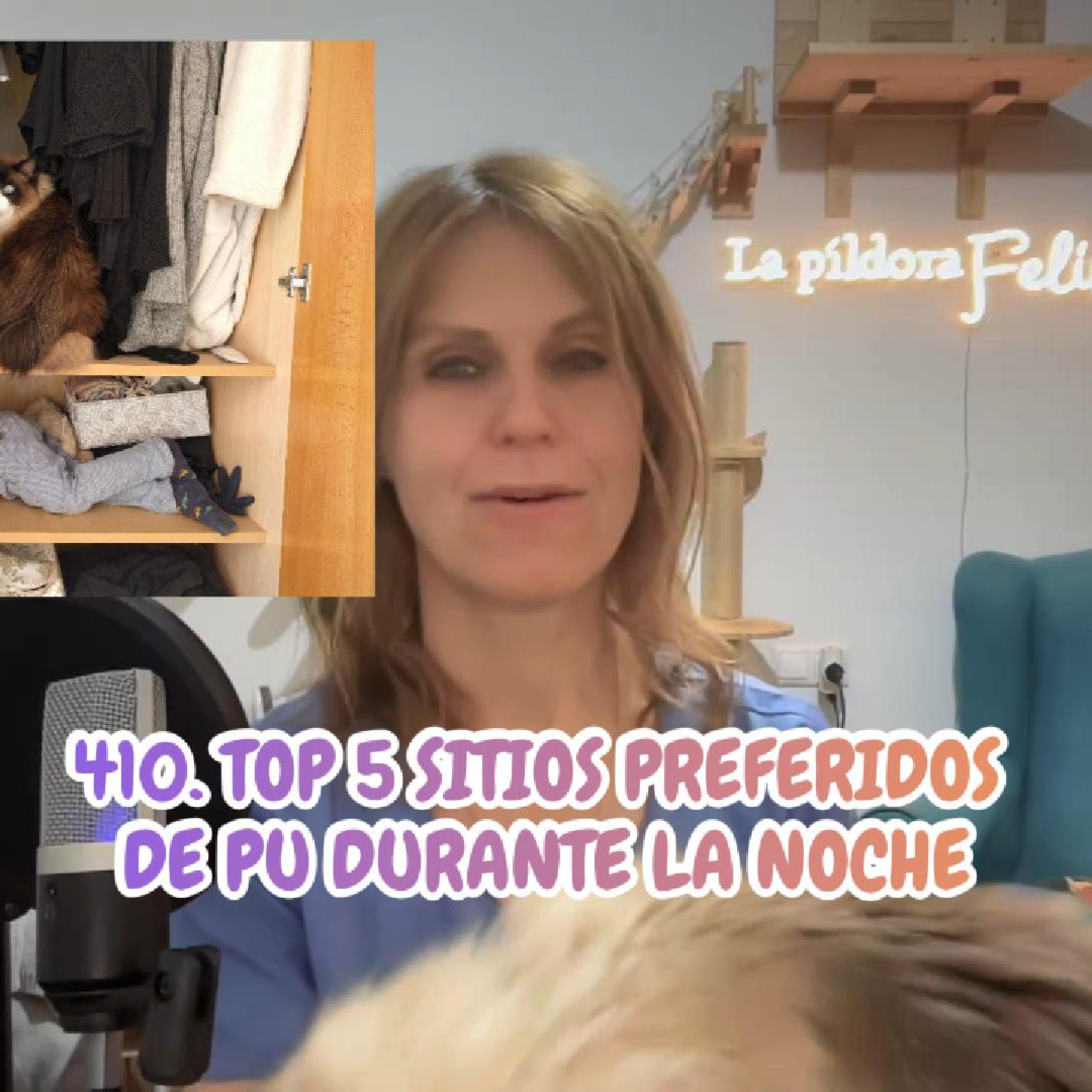 Imagen del episodio 410. TOP 5 sitios preferidos de Pu durante LA NOCHE