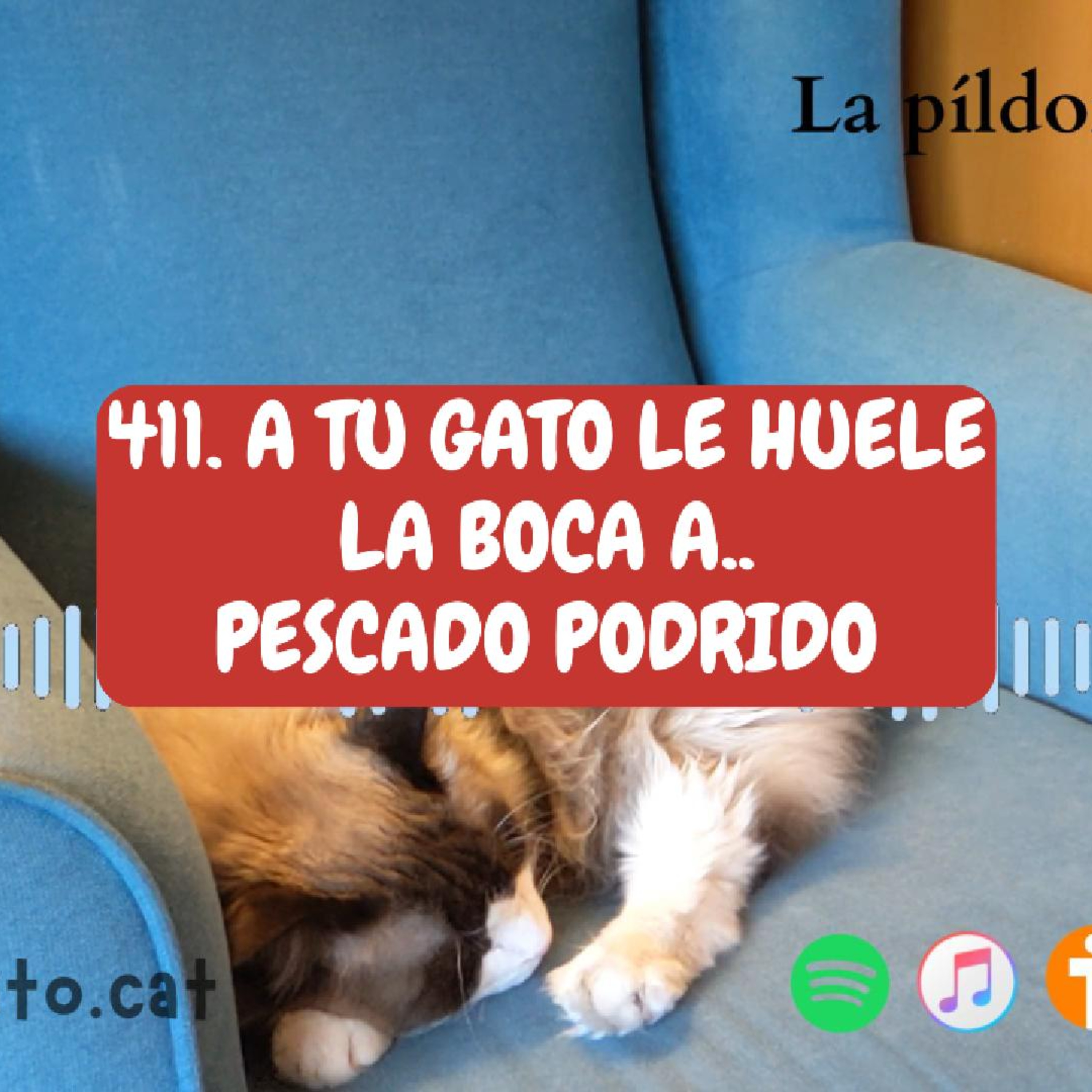 Imagen del episodio 411. A tu gato le huele la boca a.. PESCADO PODRIDO