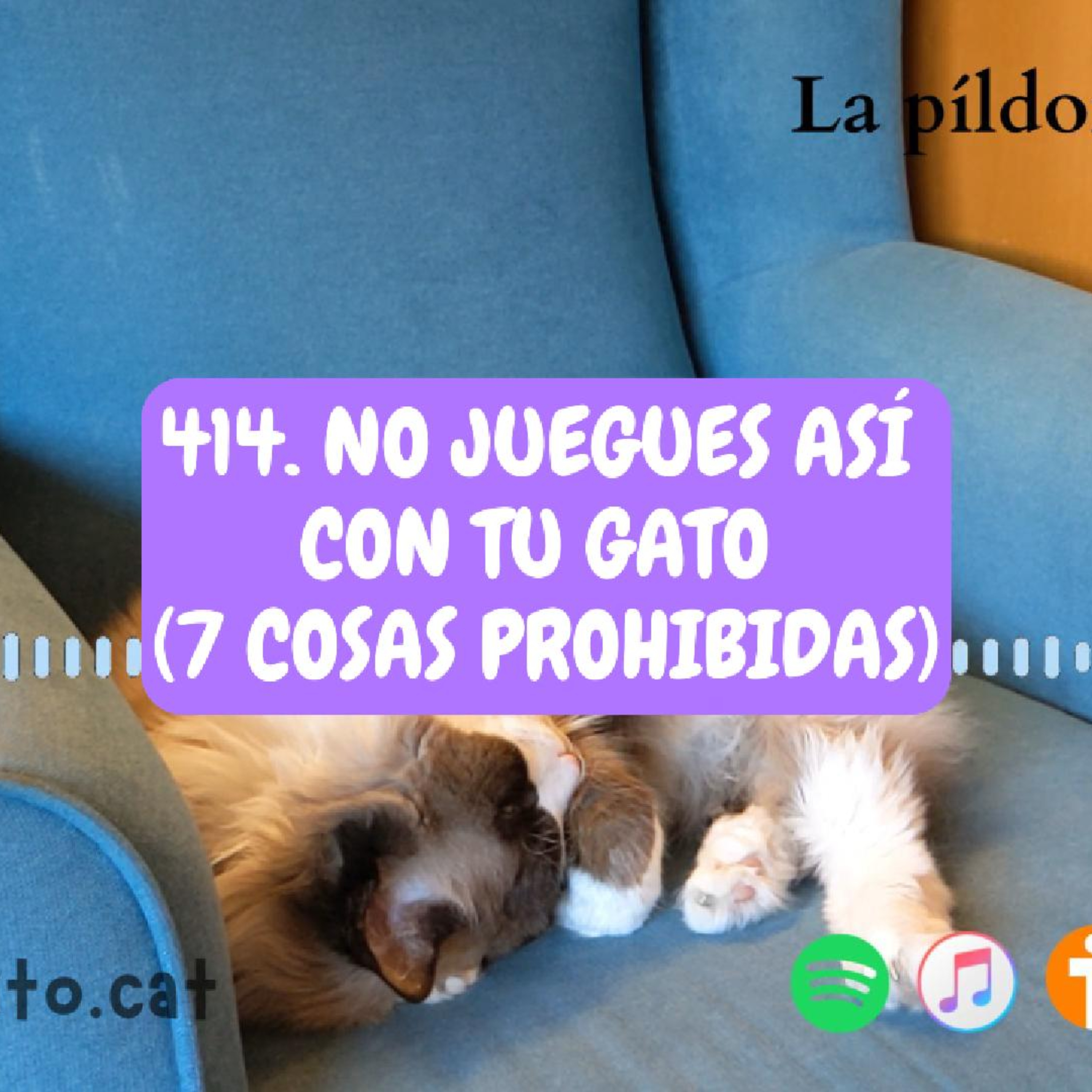 Imagen del episodio 414. NO JUEGUES ASÍ con tu gato (7 cosas prohibidas)