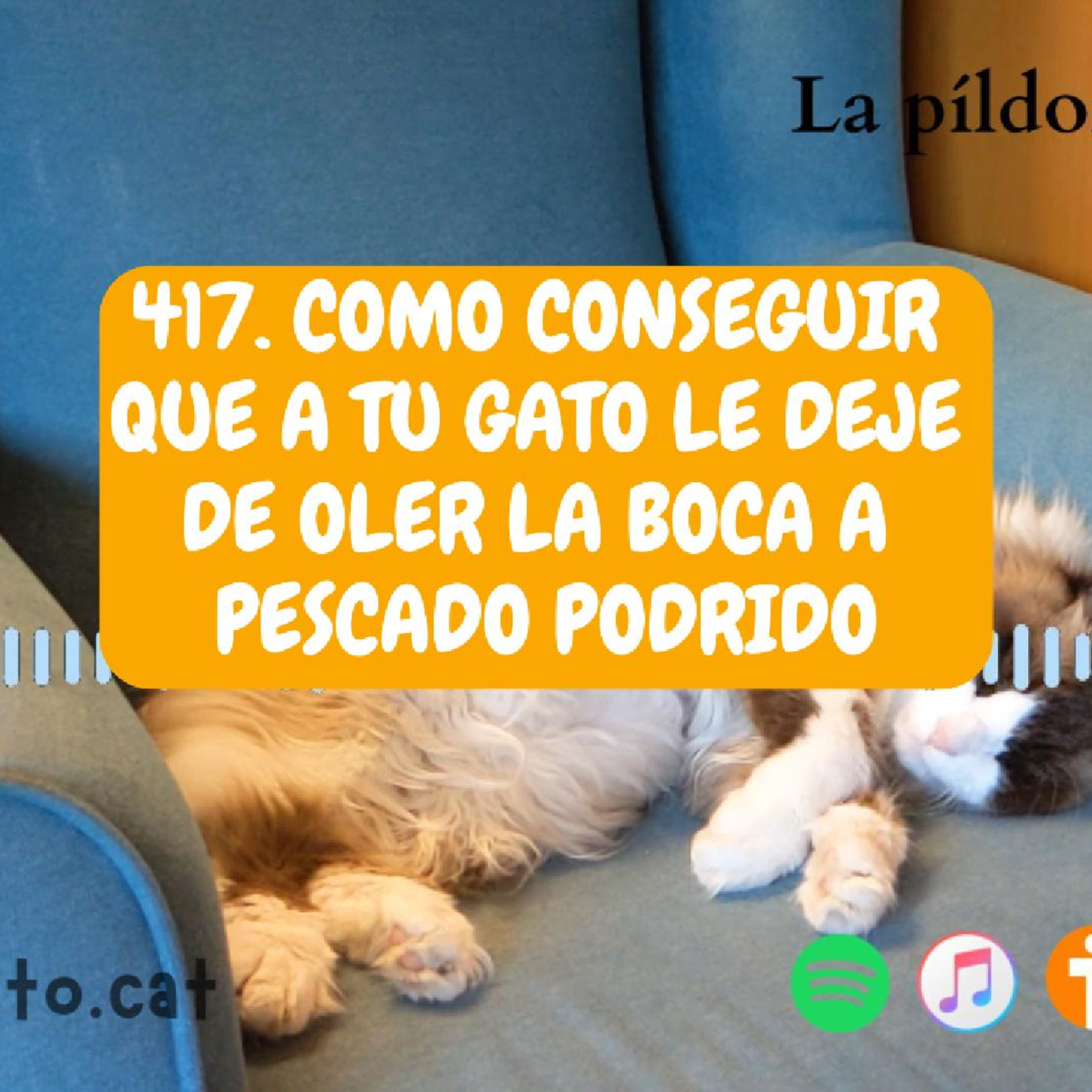 Imagen del episodio 417. Como conseguir que a tu gato le DEJE DE OLER la boca a PESCADO PODRIDO