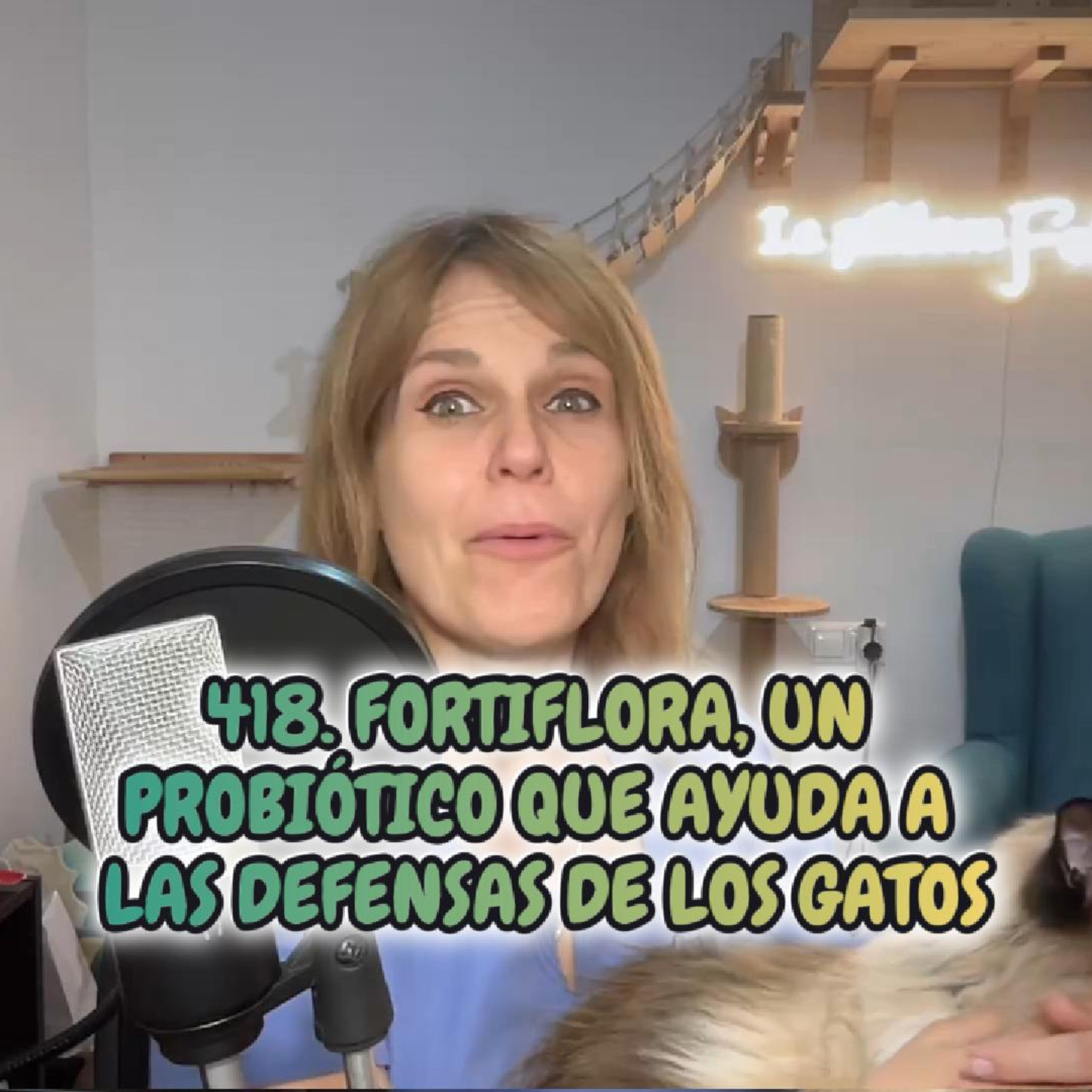 Imagen del episodio 418. Fortiflora, un probiótico que AYUDA A LAS DEFENSAS de los gatos