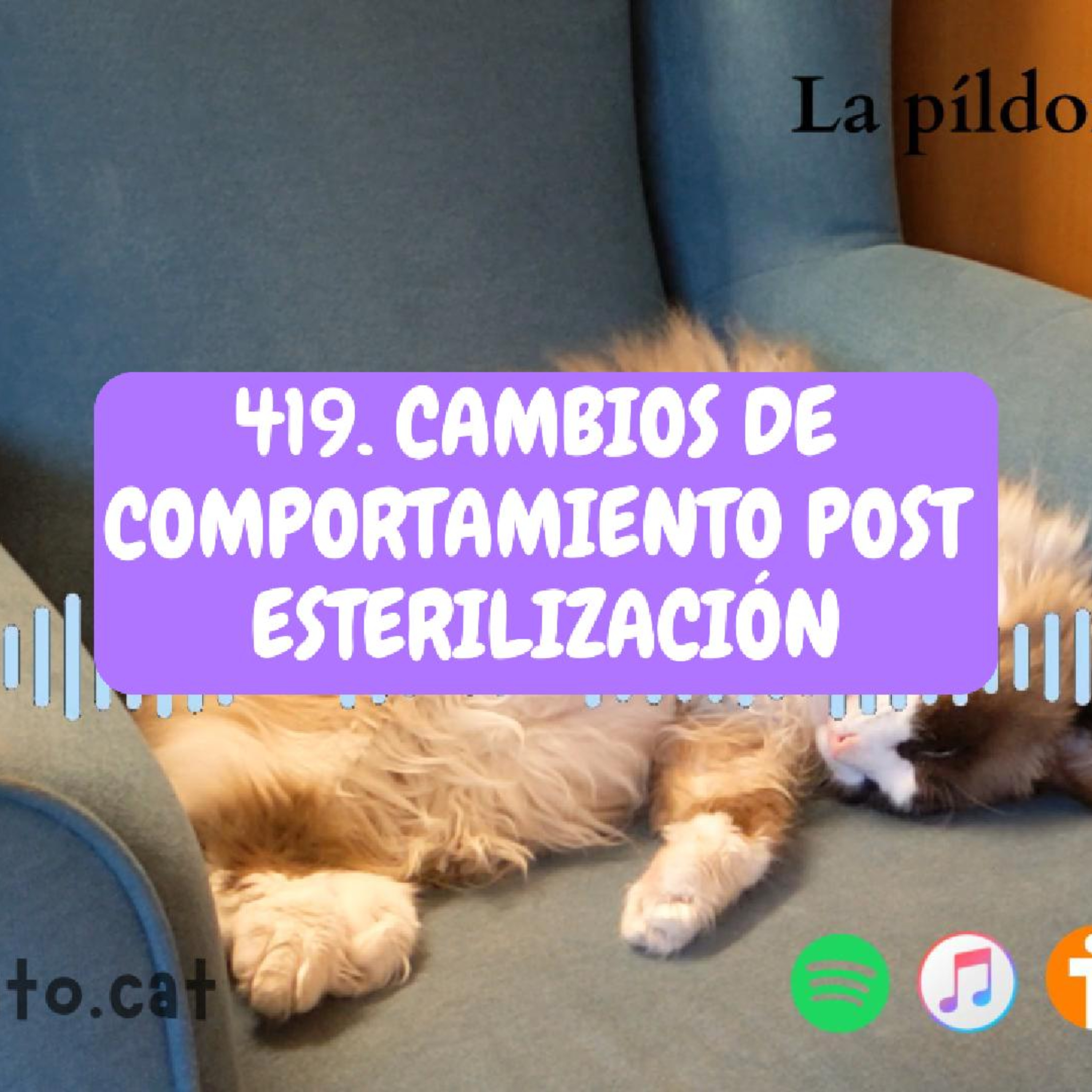 Imagen del episodio 419. Cambios de comportamiento POST esterilización