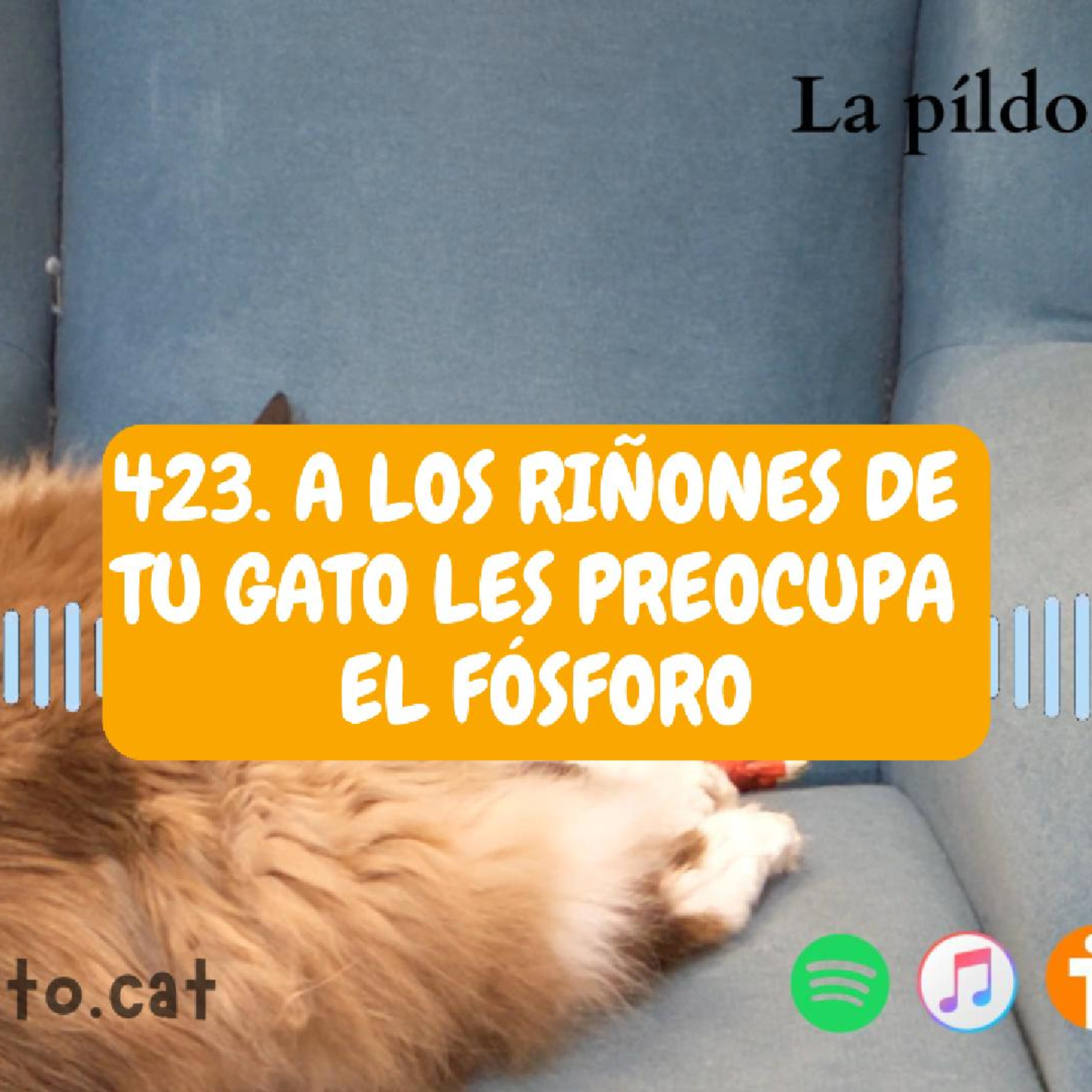 Imagen del episodio 423. A los riñones de tu gato les preocupa el fósforo