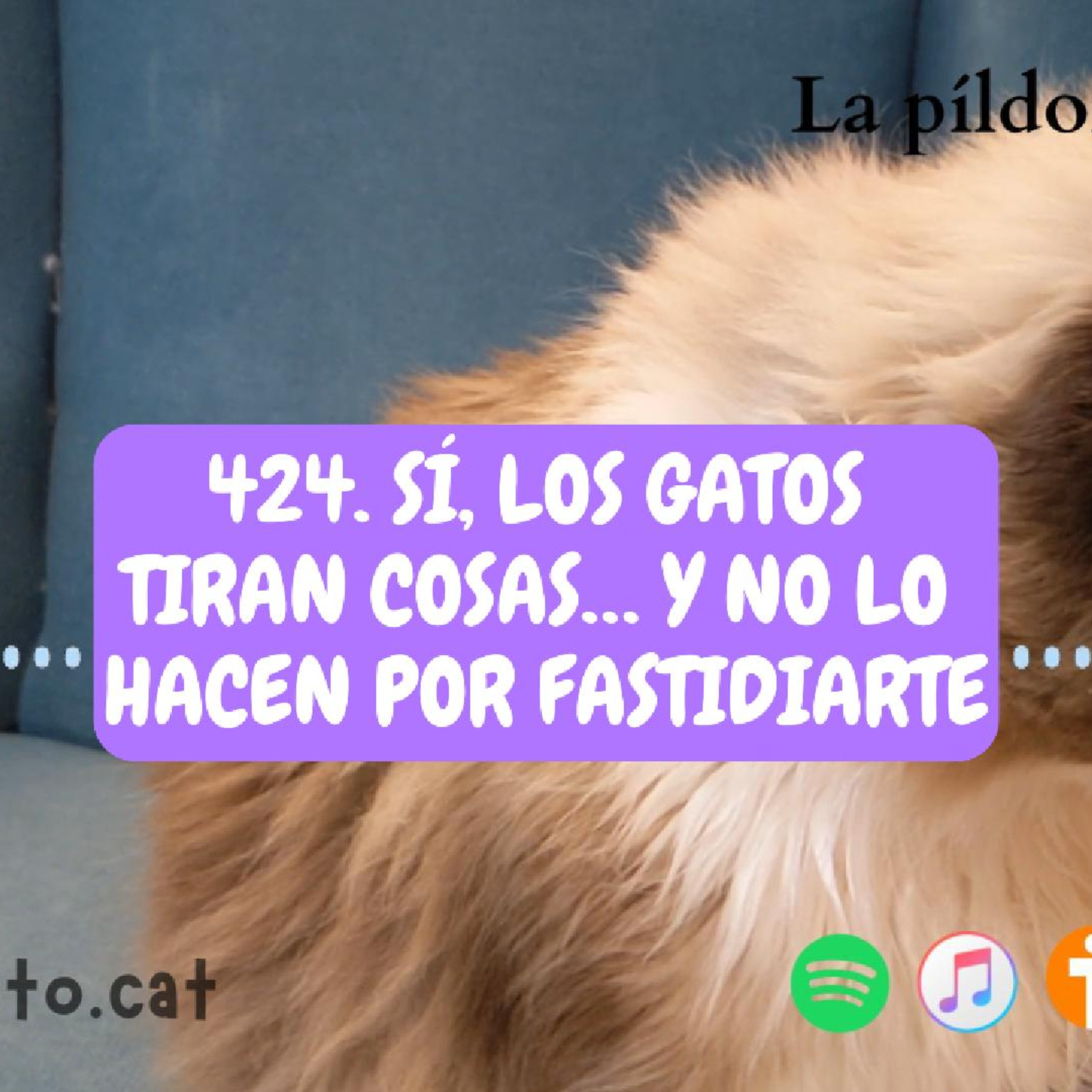 Imagen del episodio 424. Sí, los gatos tiran cosas… y no lo hacen por fastidiarte