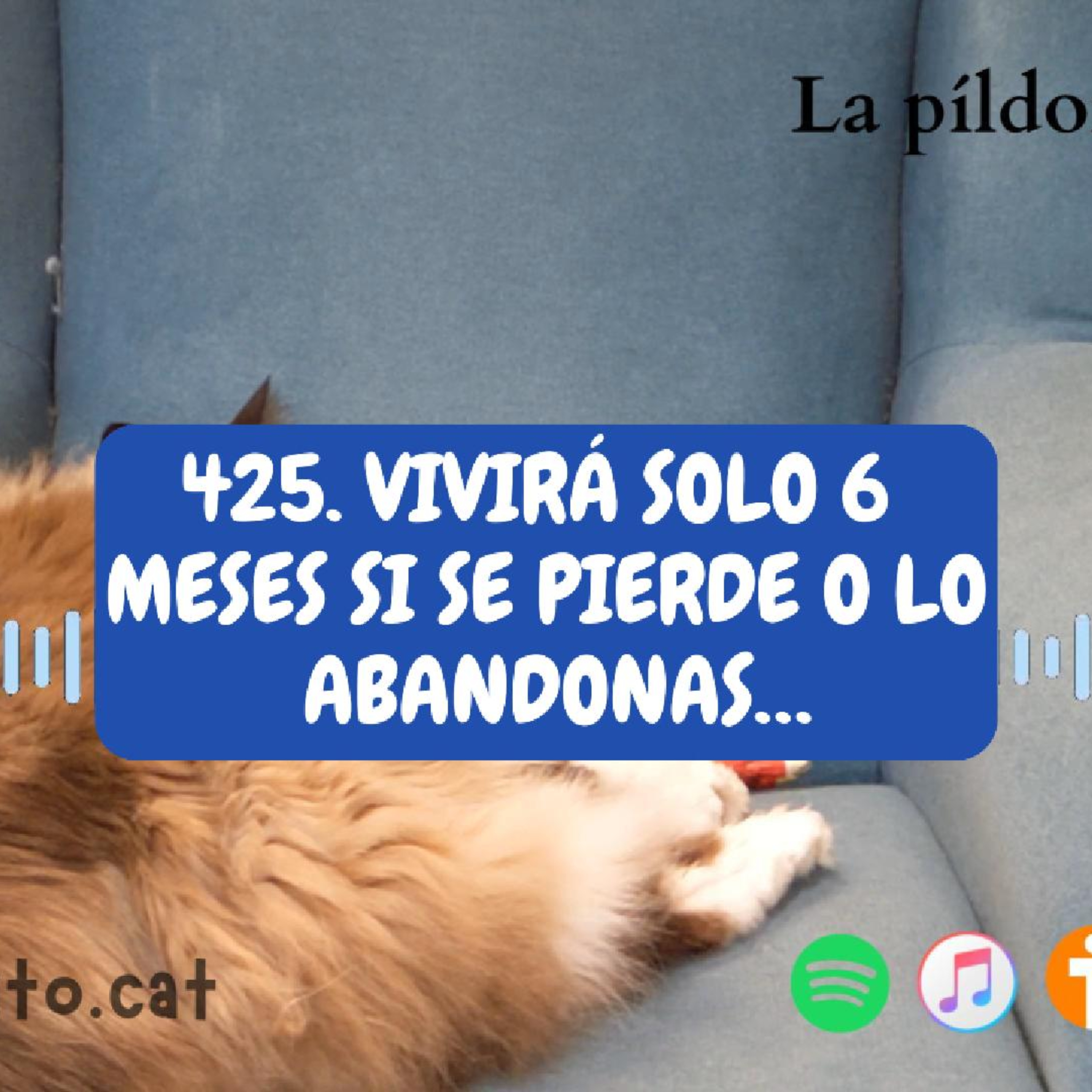 Imagen del episodio 425. Vivirá solo 6 MESES si se pierde o lo abandonas…