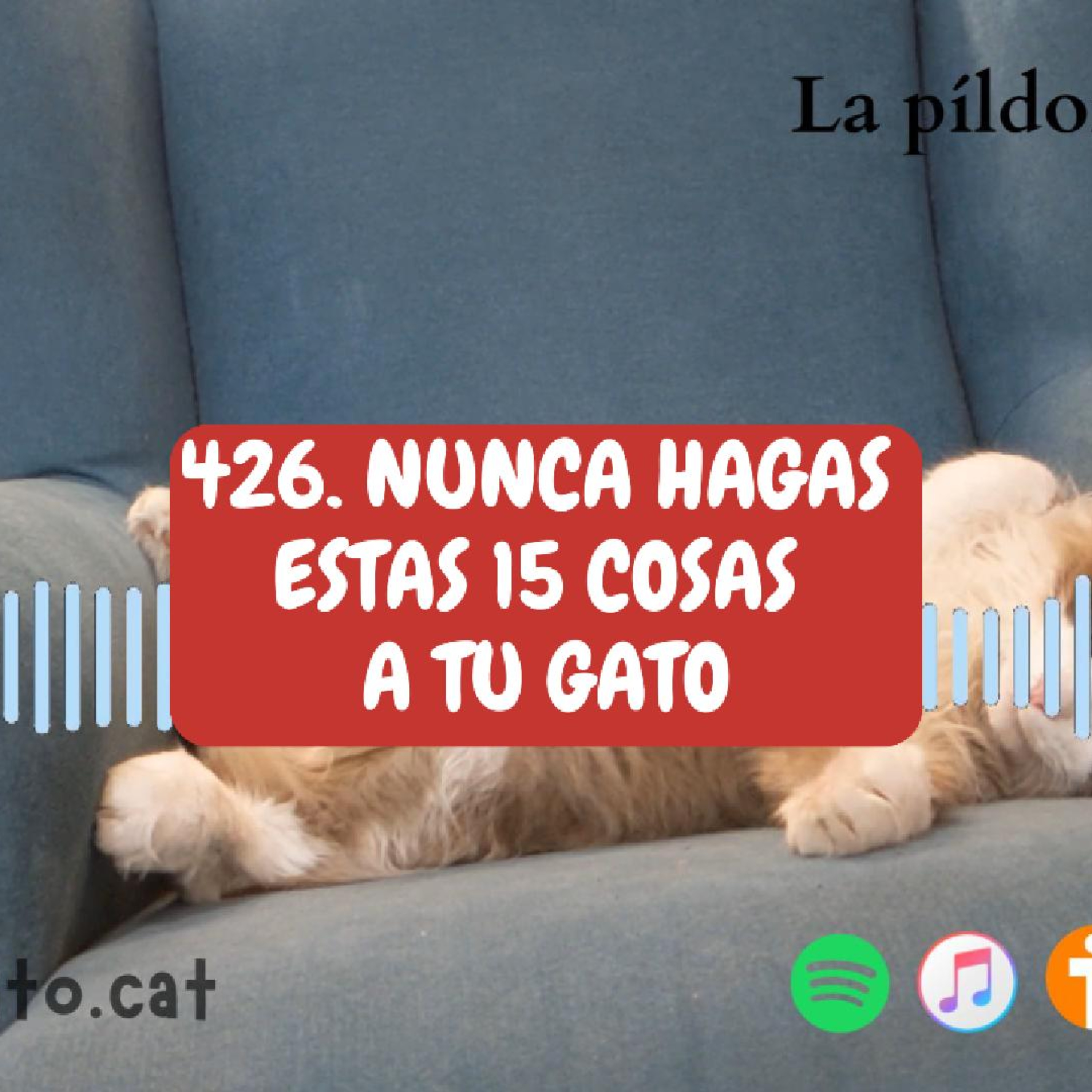 Imagen del episodio 426. NUNCA LE HAGAS estas 15 cosas a tu gato