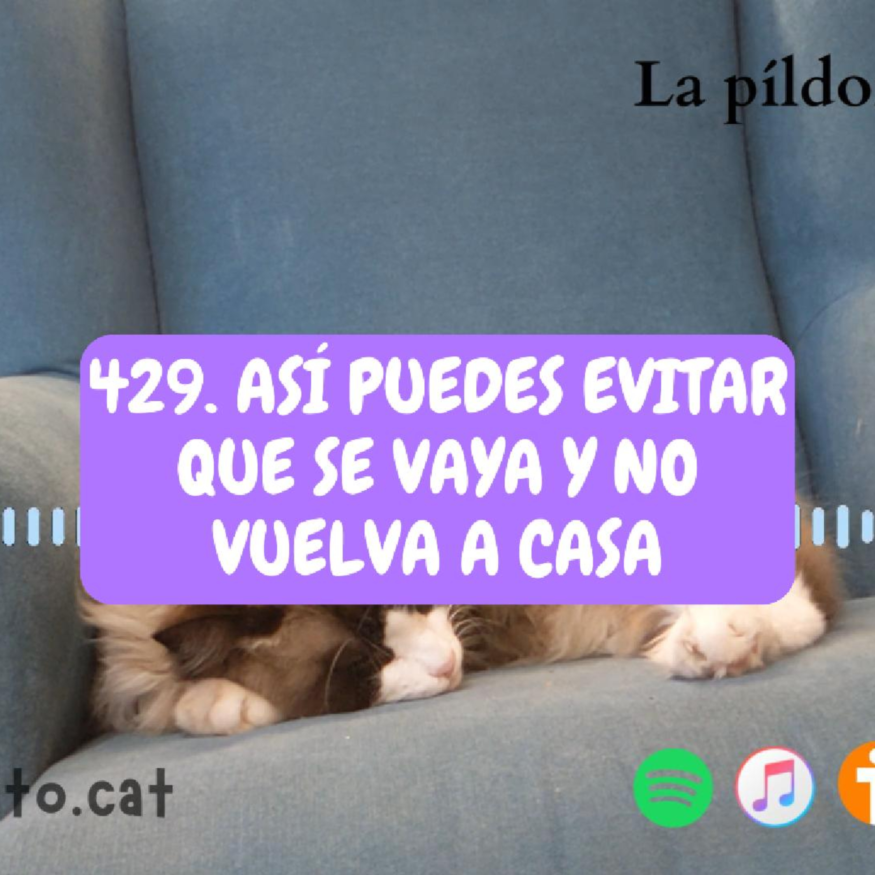 Imagen del episodio 429. Así puedes EVITAR QUE SE VAYA y no vuelva a casa