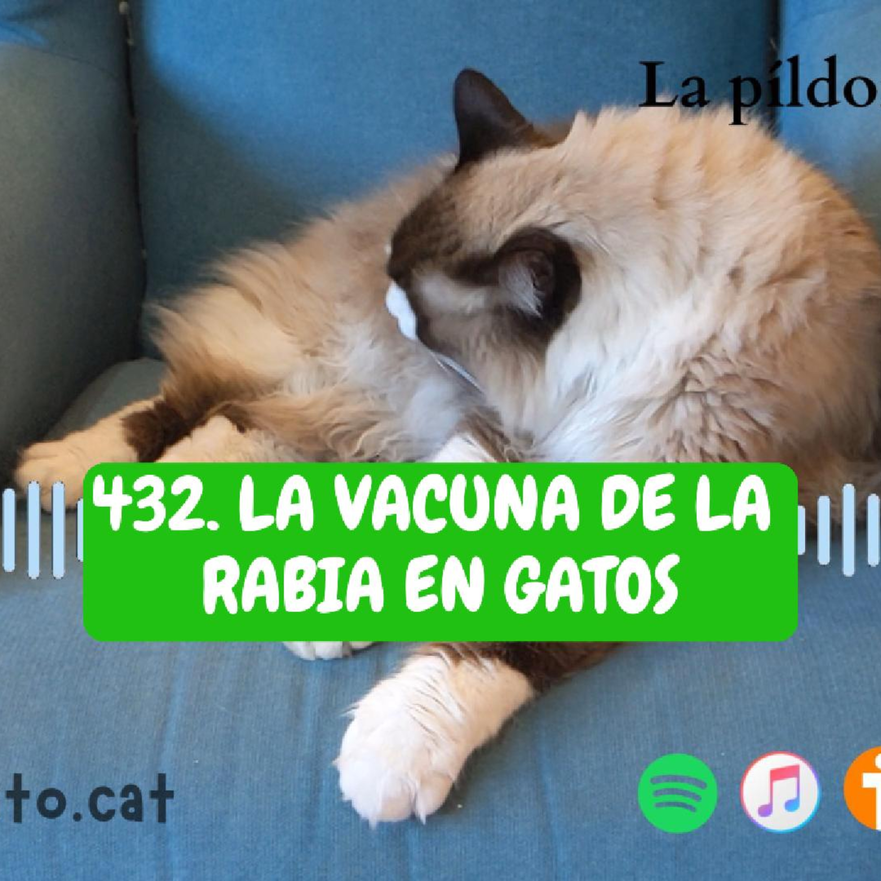 Imagen del episodio 432. La vacuna de la RABIA en gatos
