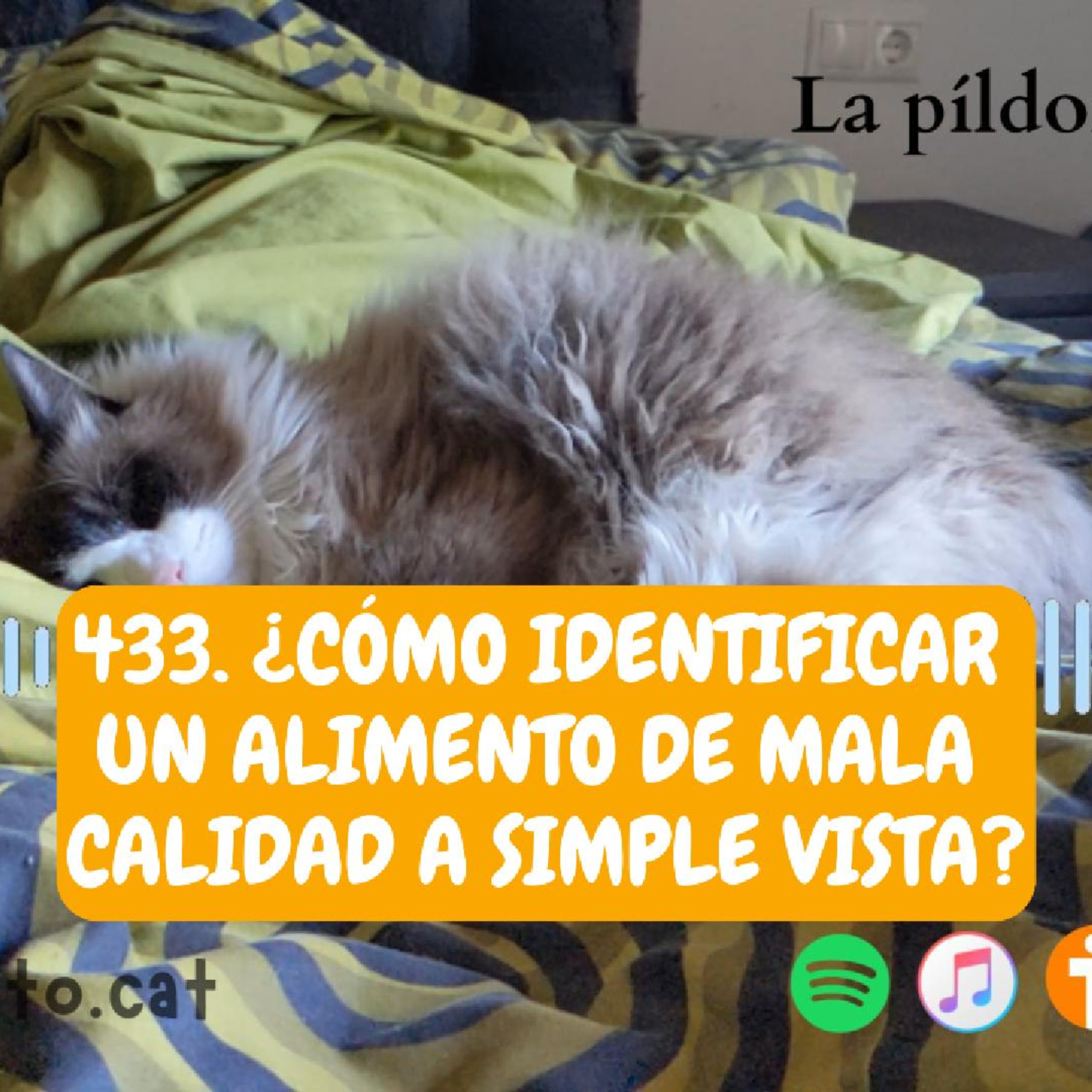 Imagen del episodio 433. ¿Cómo identificar un alimento de MALA CALIDAD a simple vista?