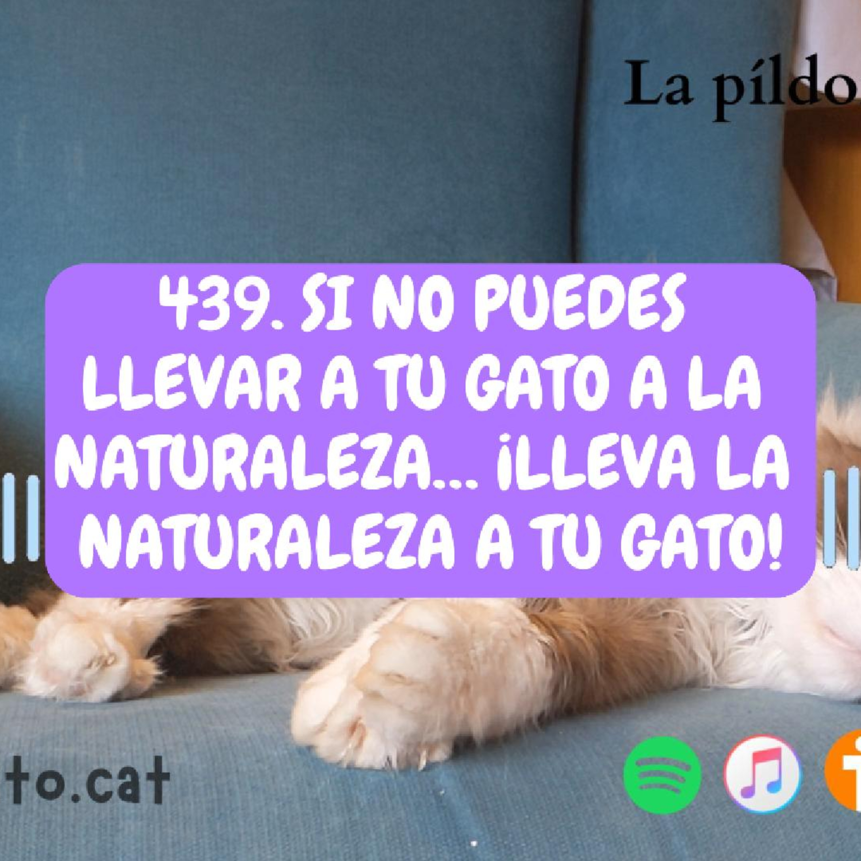 Imagen del episodio 439. Si no puedes llevar a tu gato a la naturaleza… ¡lleva la naturaleza a tu gato!