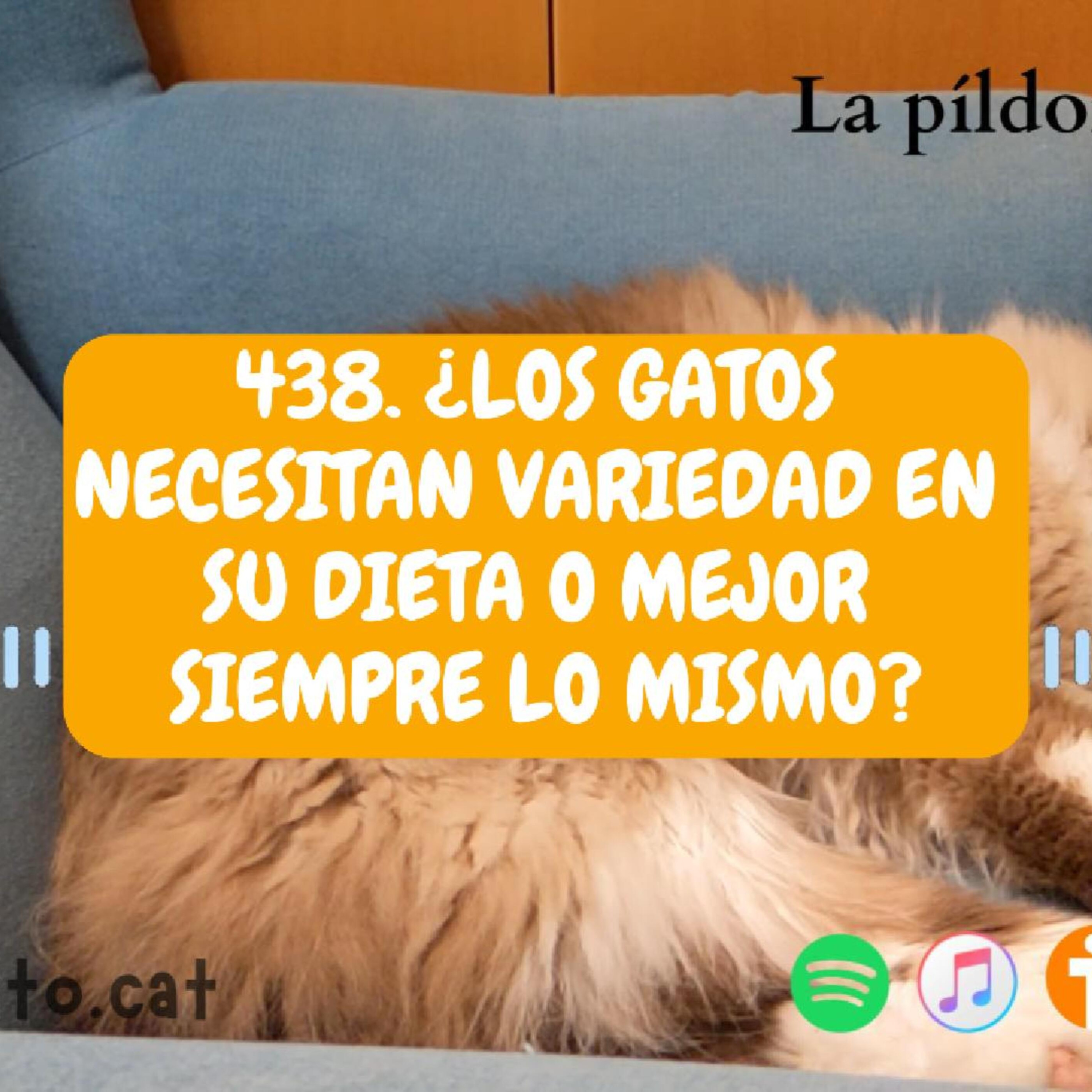 Imagen del episodio 438. ¿Los gatos NECESITAN VARIEDAD en su dieta o mejor siempre lo mismo?