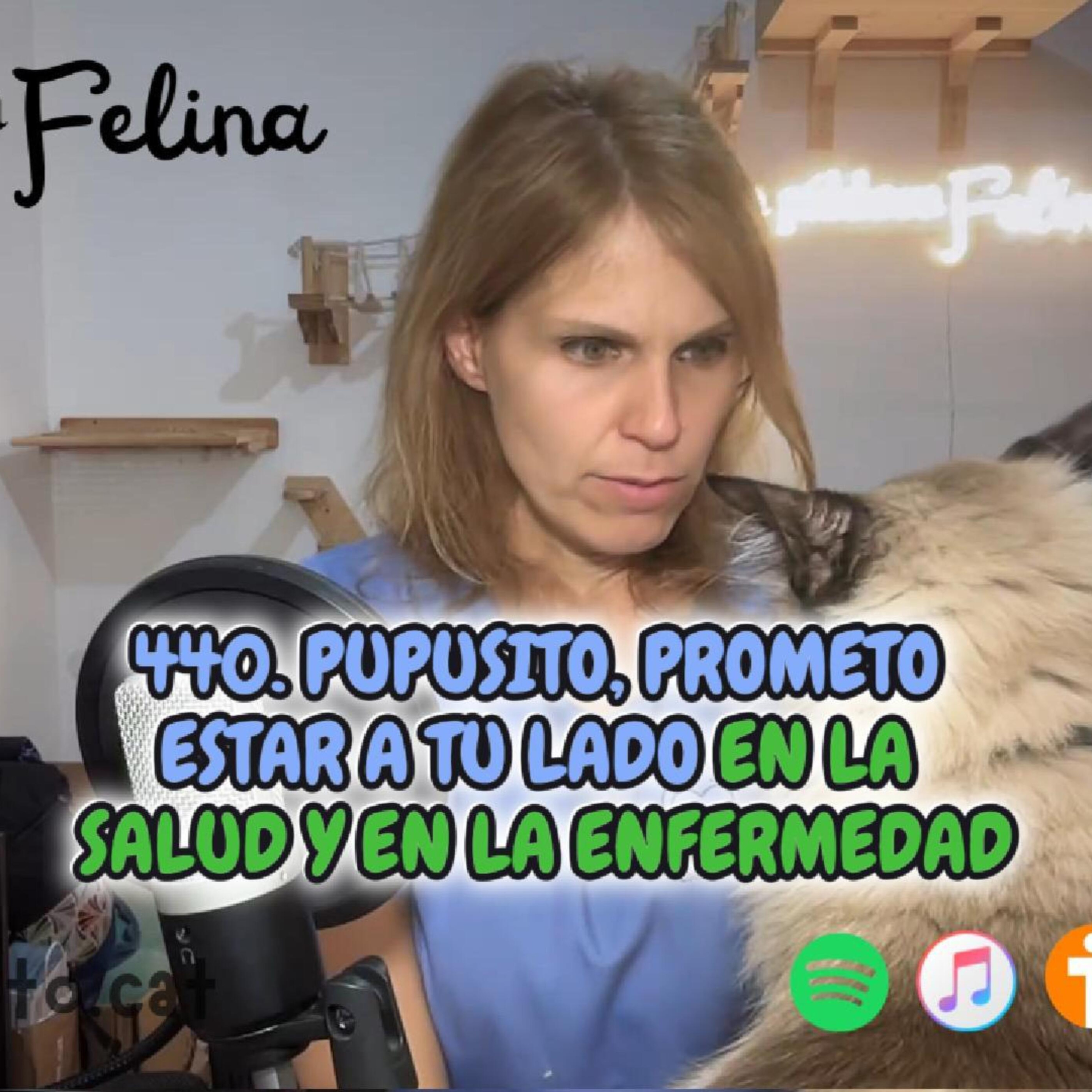 Imagen del episodio 440. Pupusito, PROMETO ESTAR A TU LADO en la salud y en la enfermedad