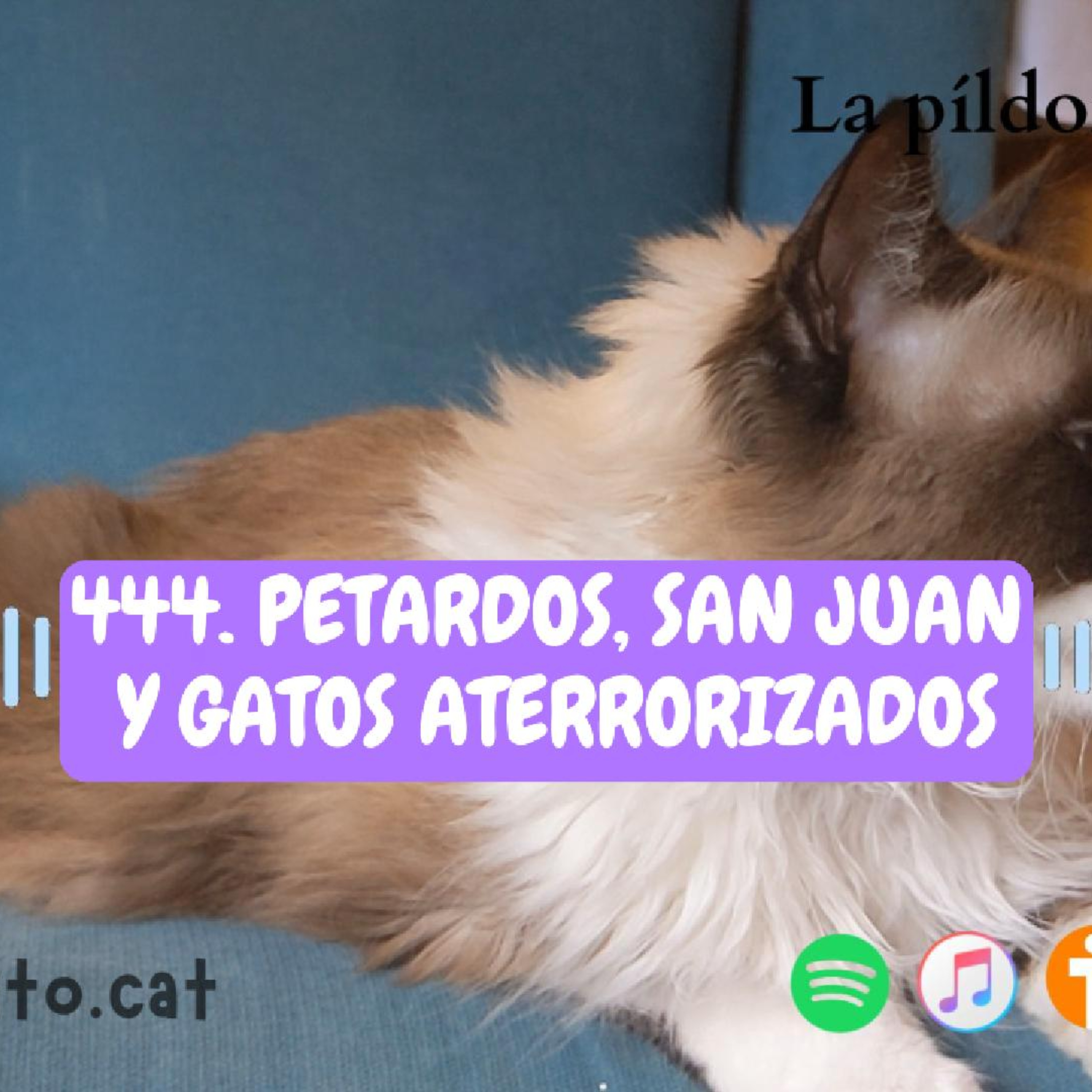 Imagen del episodio 444. Petardos, San Juan y gatos aterrorizados