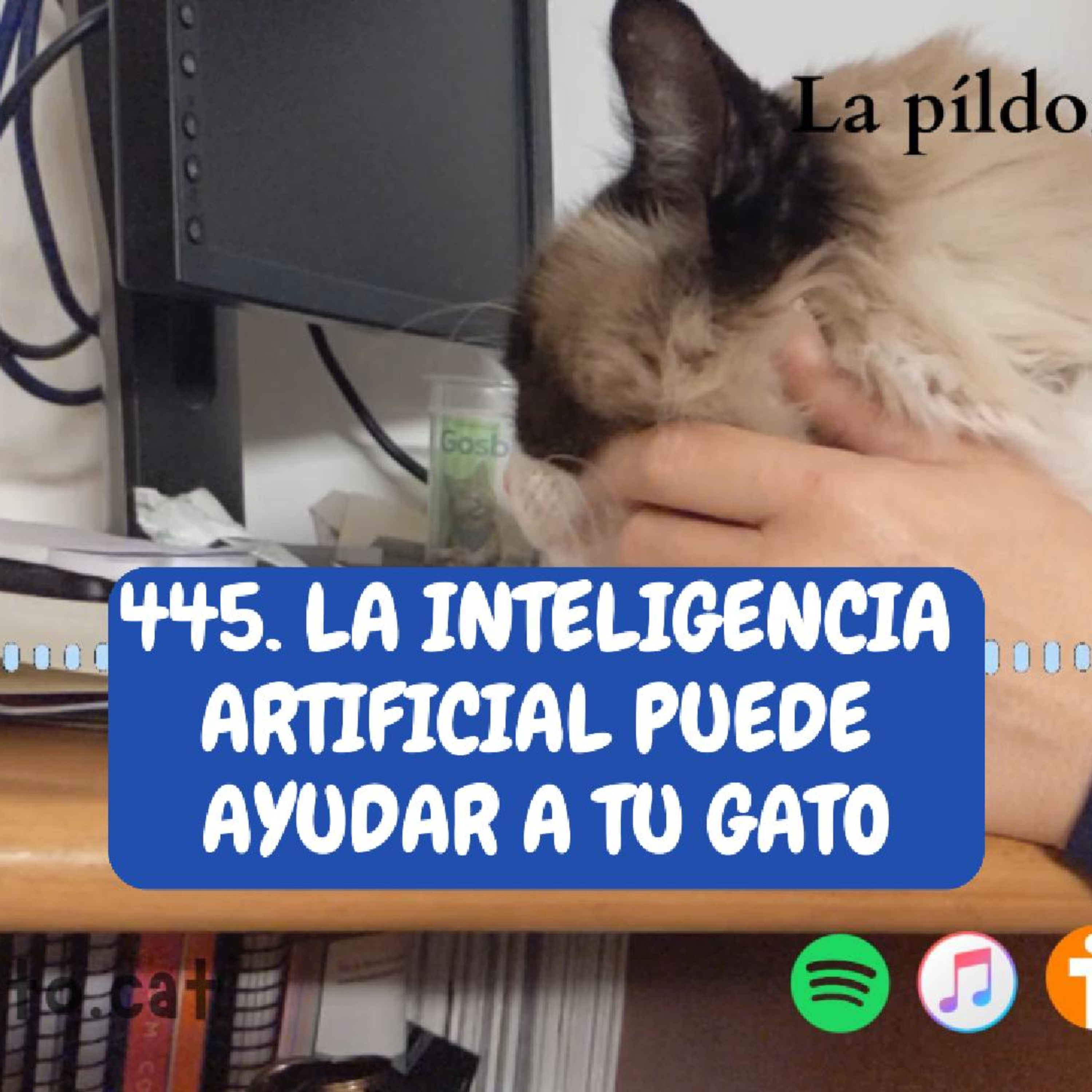 Imagen del episodio 445. La Inteligencia Artificial puede ayudar a tu gato