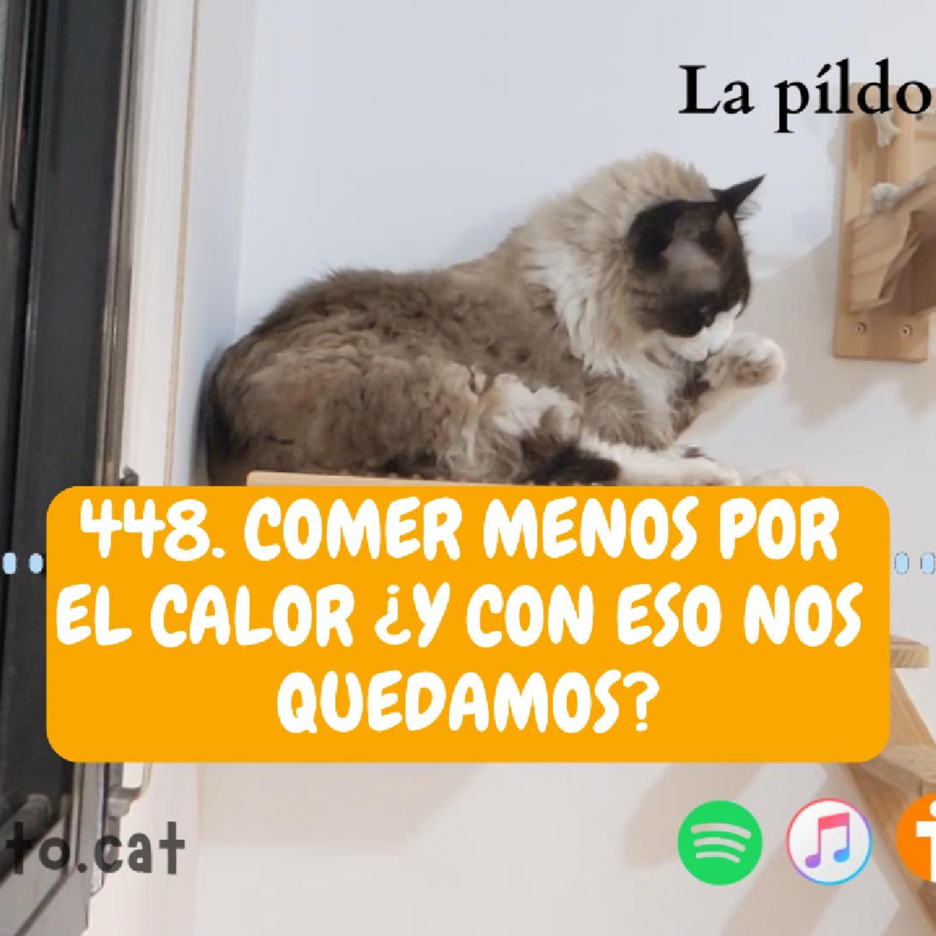 Imagen del episodio 448. Comer menos POR EL CALOR ¿y con eso nos quedamos?