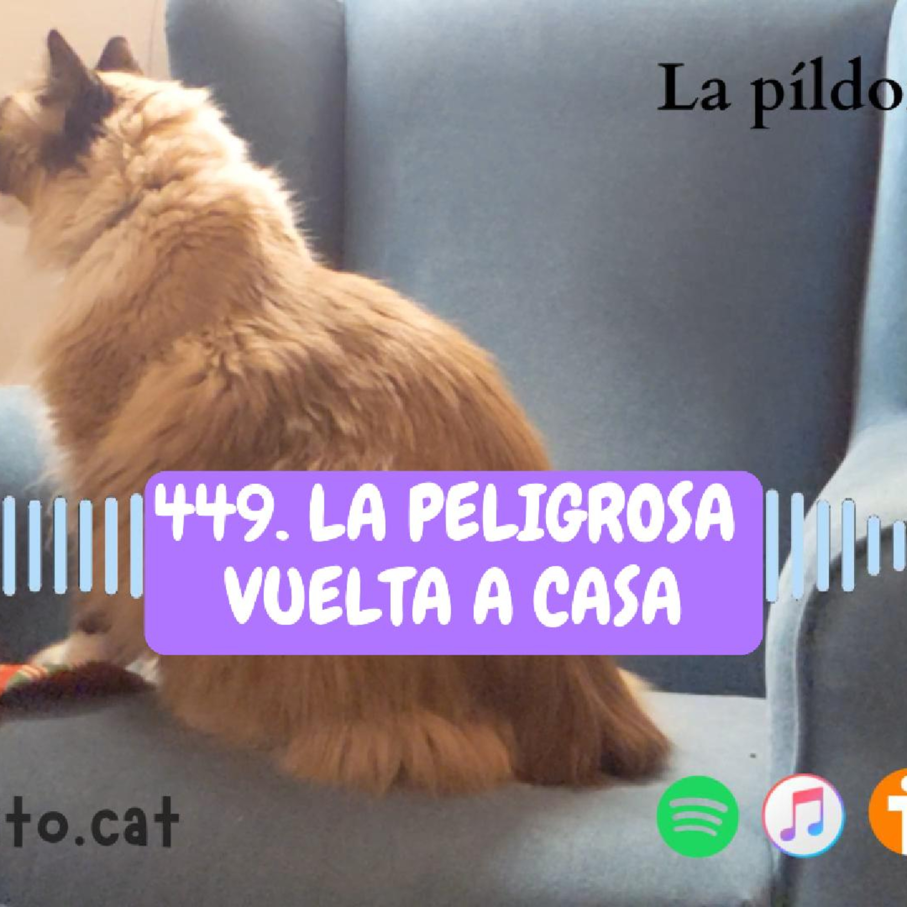 Imagen del episodio 449. La PELIGROSA vuelta a casa