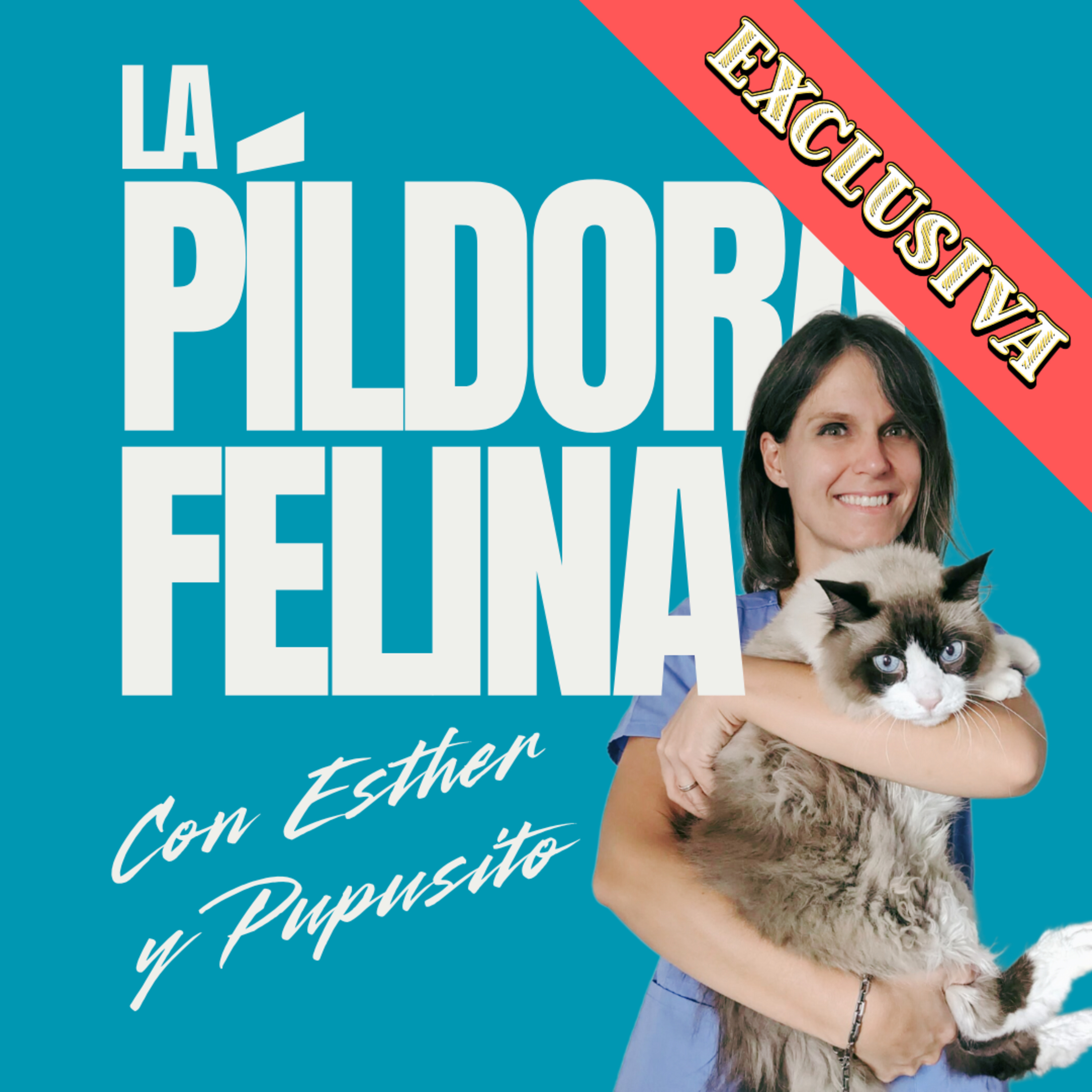 Imagen del episodio Píldora felina exclusiva #1. Los 7 PECADOS CAPITALES cuando tienes un gato castrado
