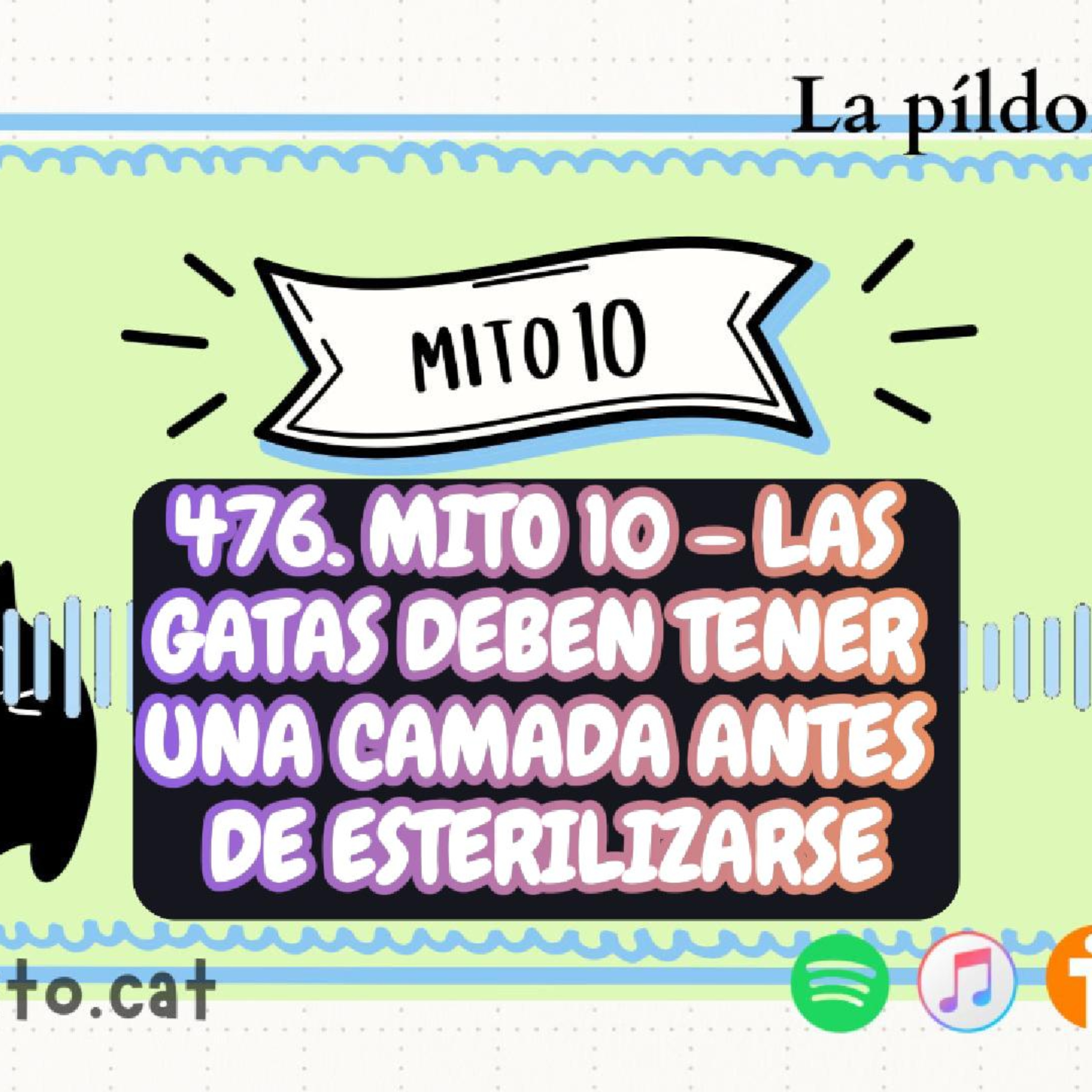 Imagen del episodio 476. Mito 10 - Las gatas deben tener una camada antes de esterilizarse