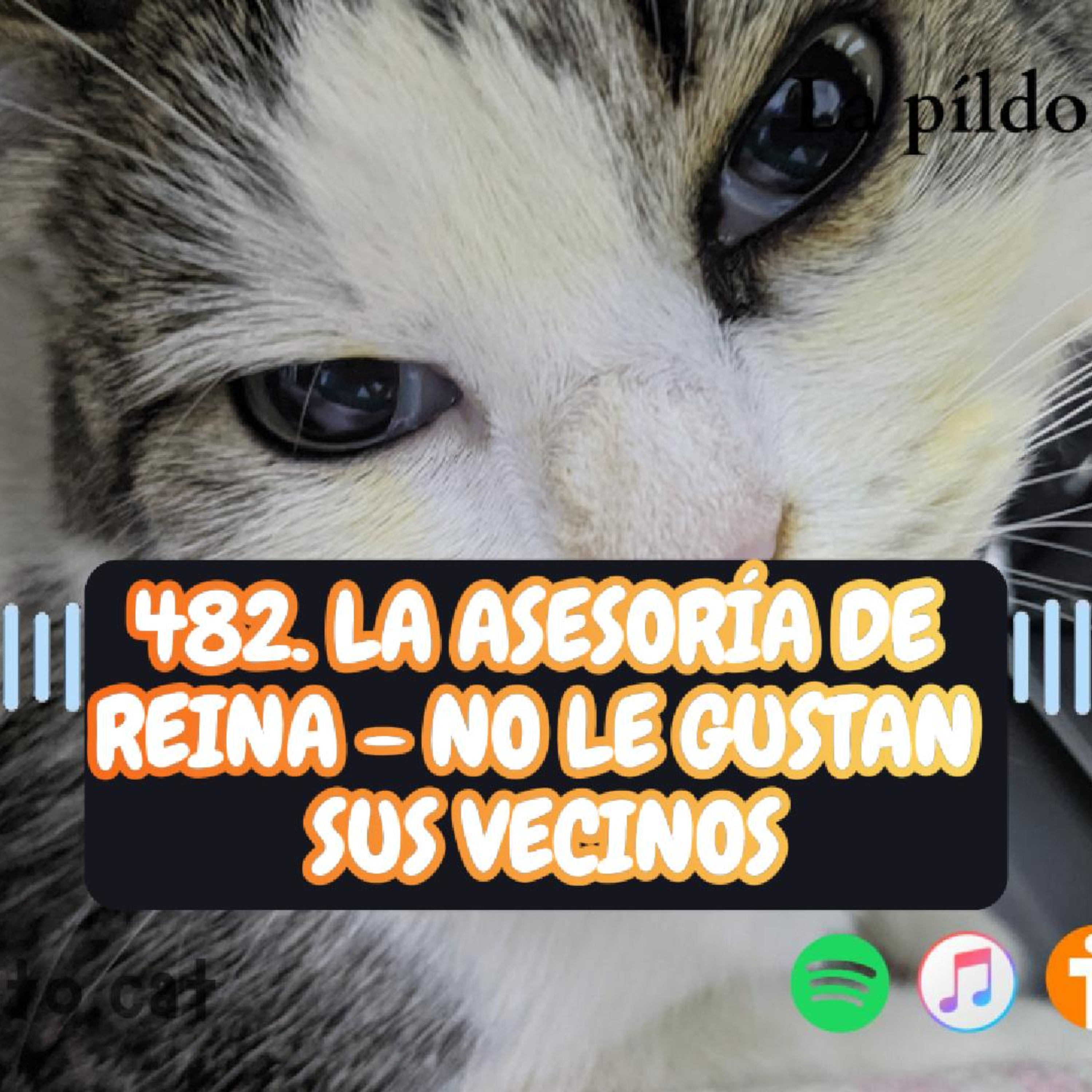 Imagen del episodio 482. La Asesoría de Reina - No le gustan sus vecinos