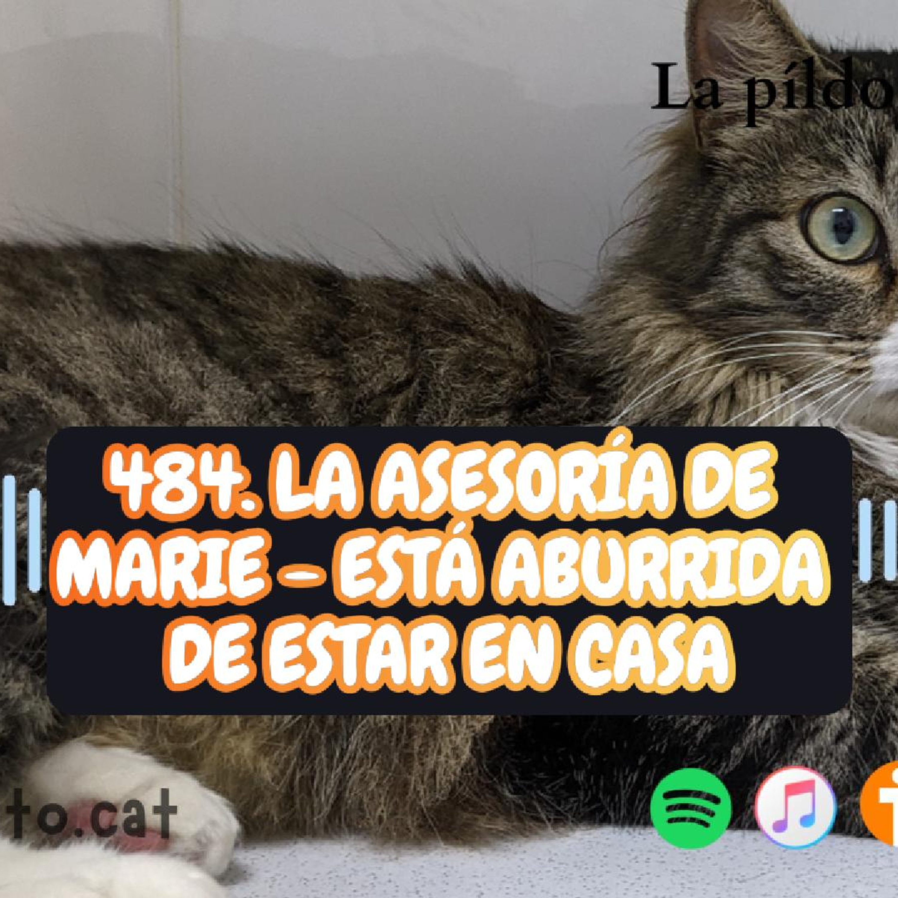 Imagen del episodio 484. La Asesoría de Marie - Está aburrida de estar en casa
