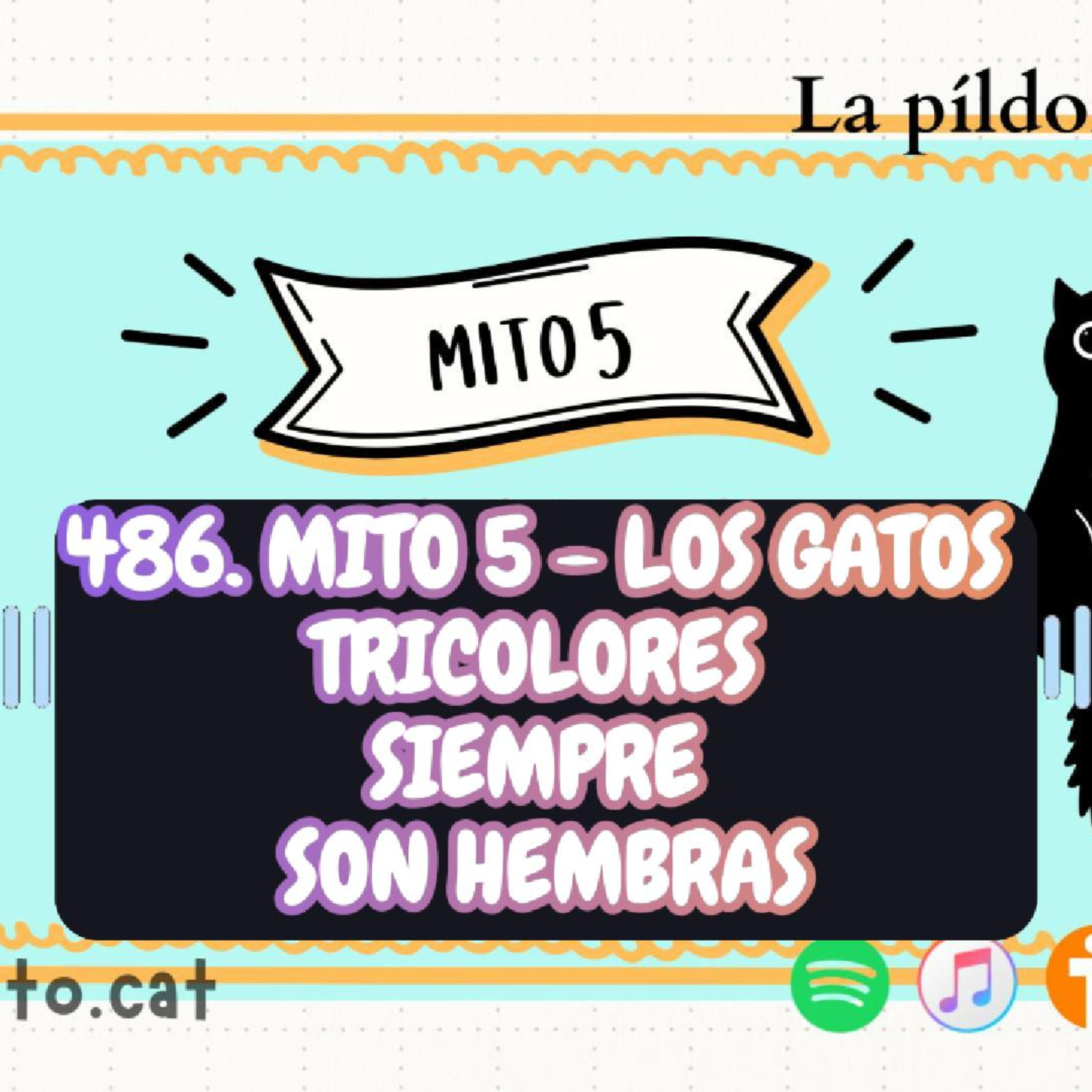 Imagen del episodio 486. Mito 5 - Los gatos tricolores siempre son hembras