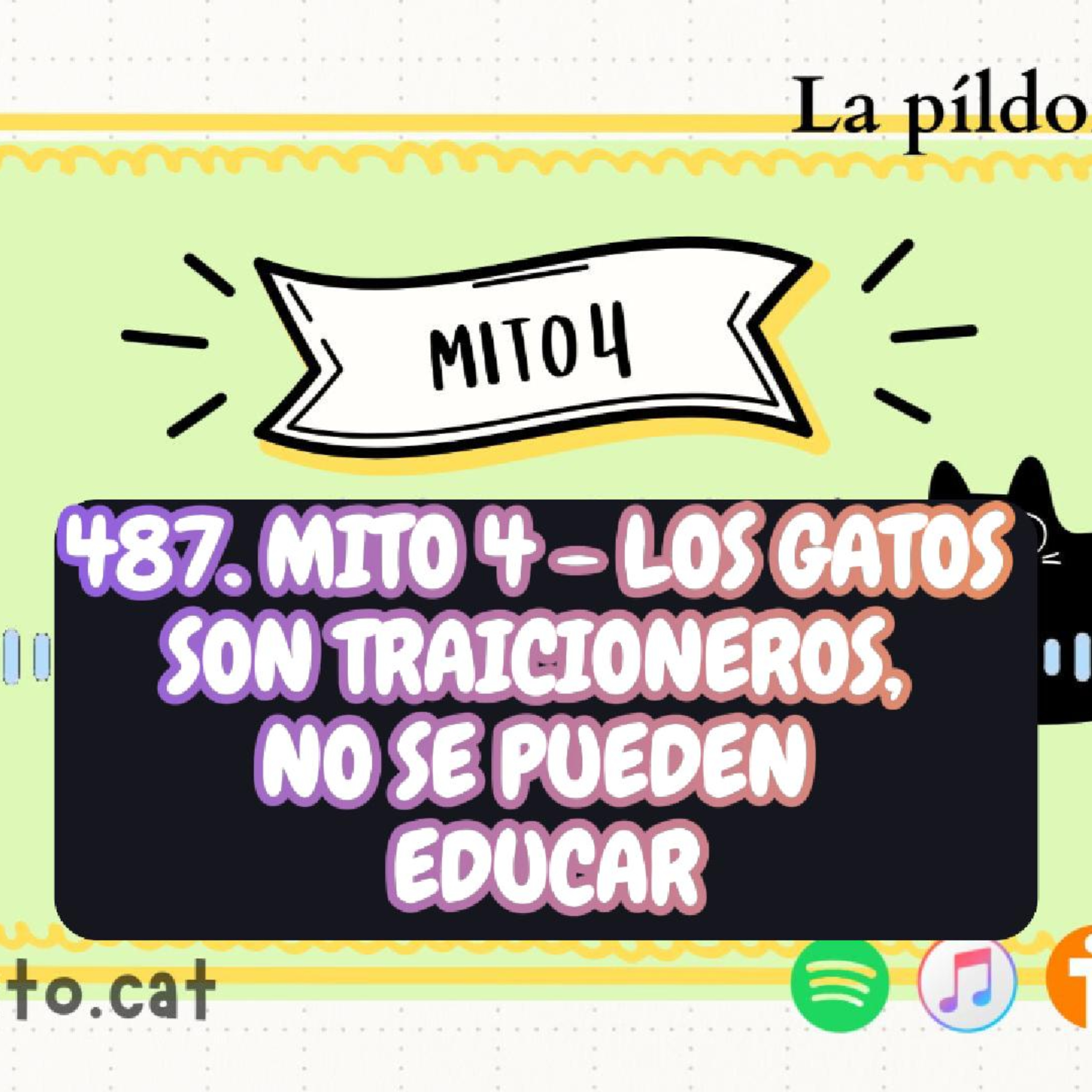 La Píldora Felina – Entiende y cuida mejor a tu gato