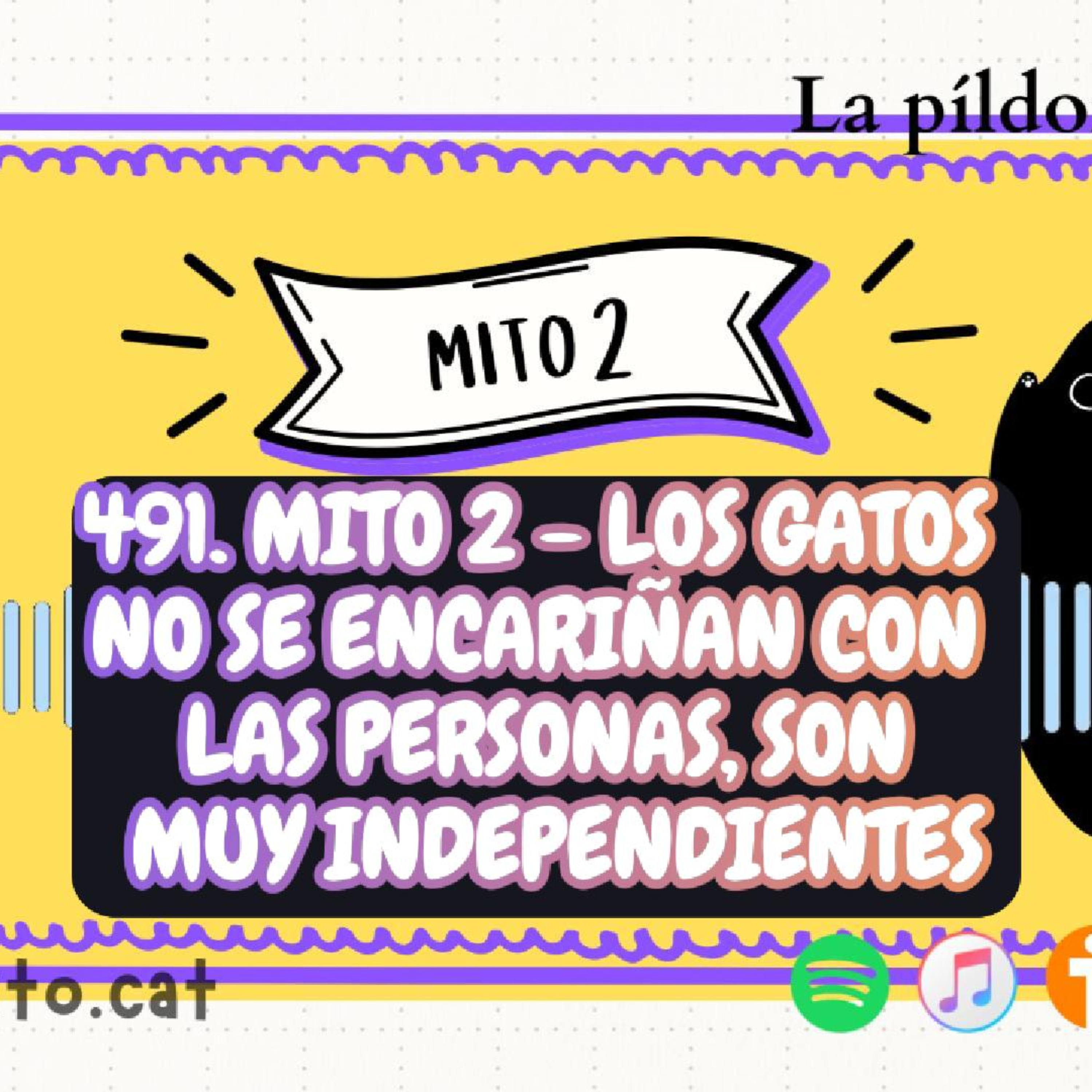 Imagen del episodio 491. Mito 2 - Los gatos no se encariñan con las personas, son muy independientes