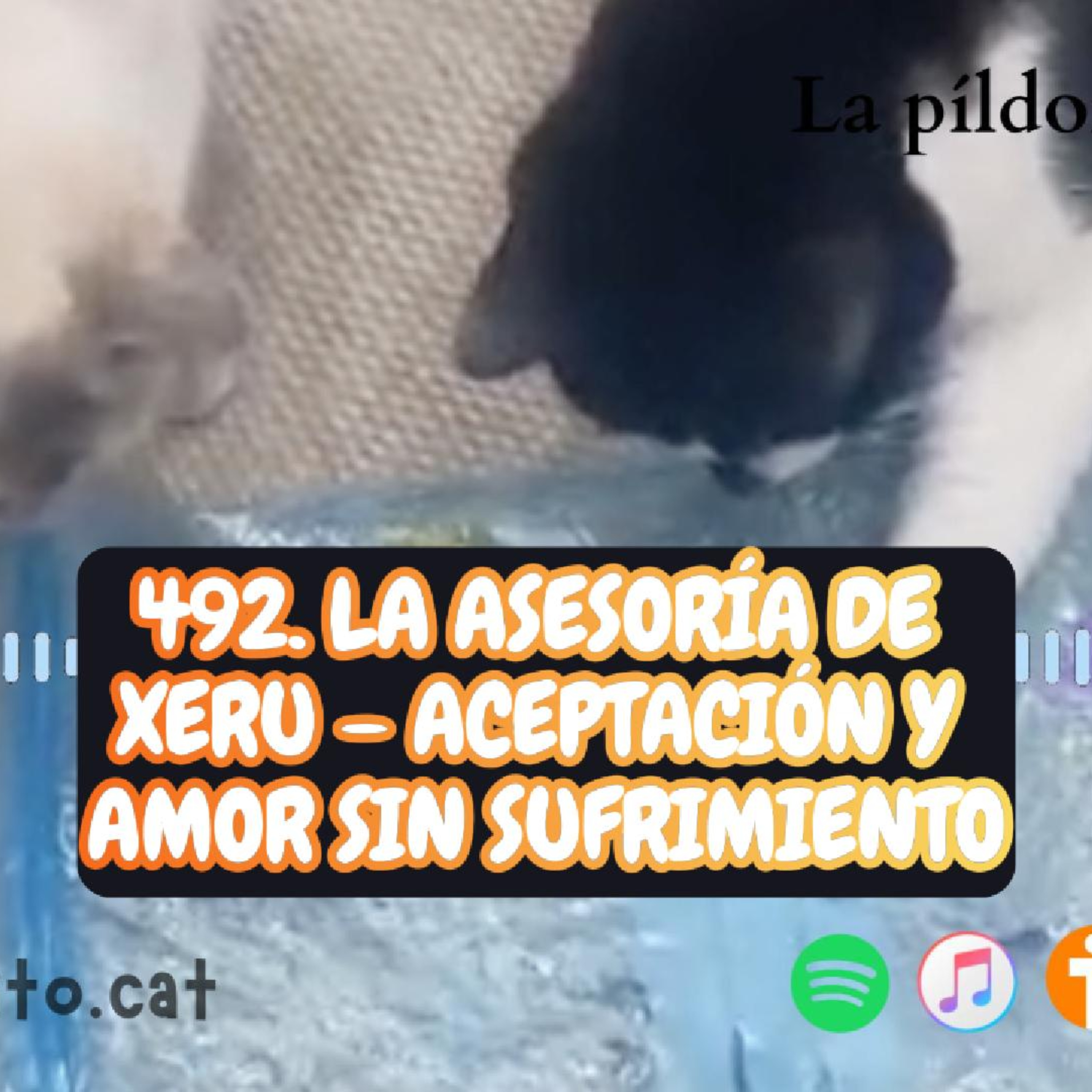 Imagen del episodio 492. La Asesoría de Xeru – Aceptación y amor sin sufrimiento