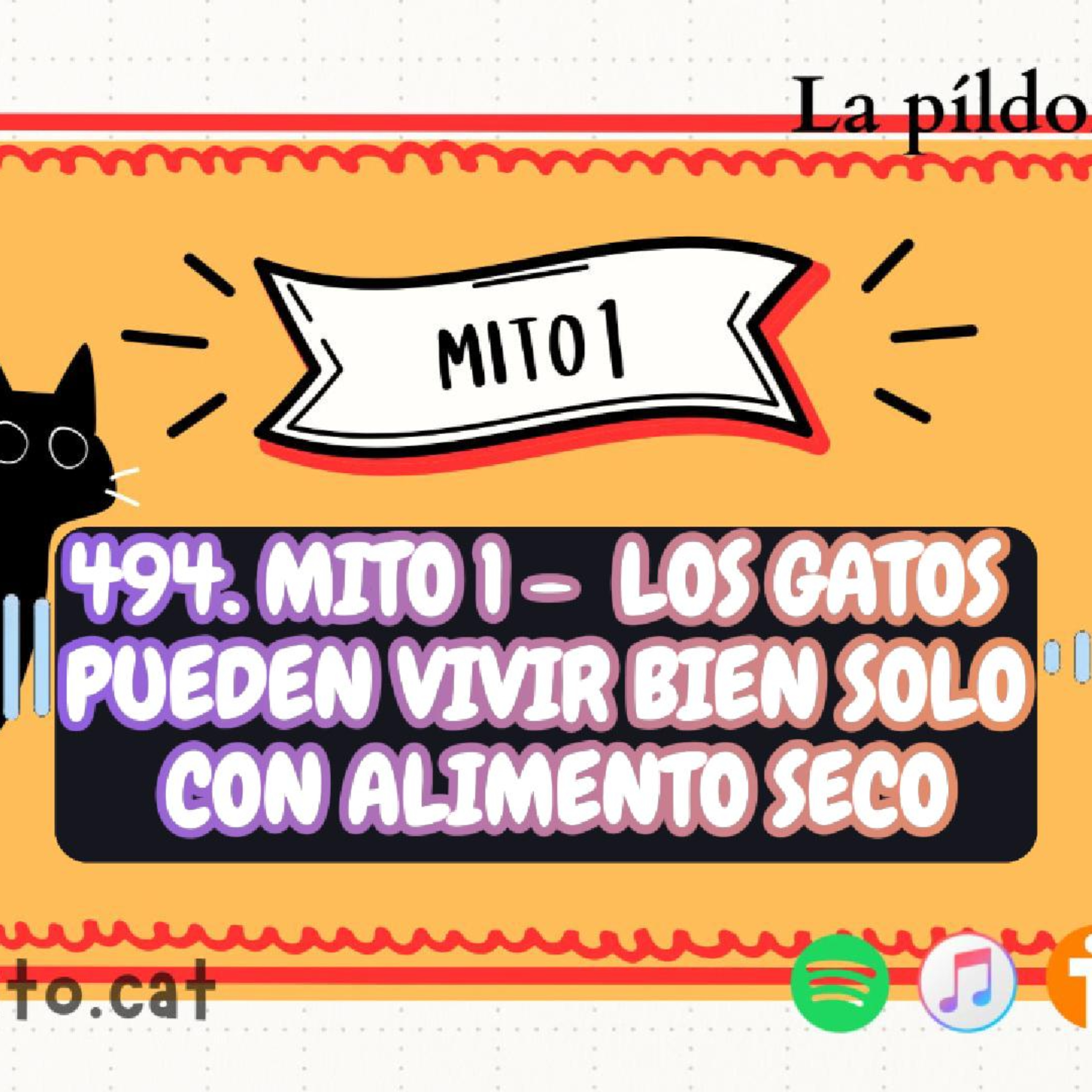 Imagen del episodio 494. Mito 1 - Los gatos pueden vivir bien solo con alimento seco