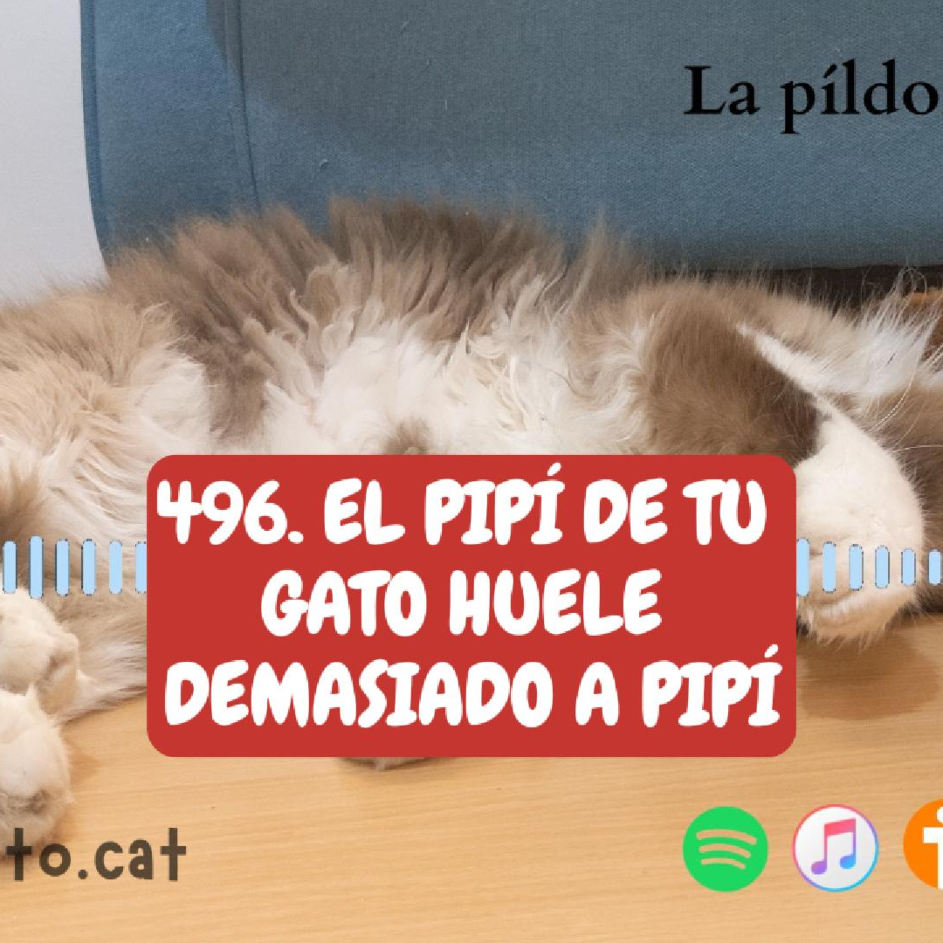 Imagen del episodio 496. El pipí de tu gato huele demasiado a pipí