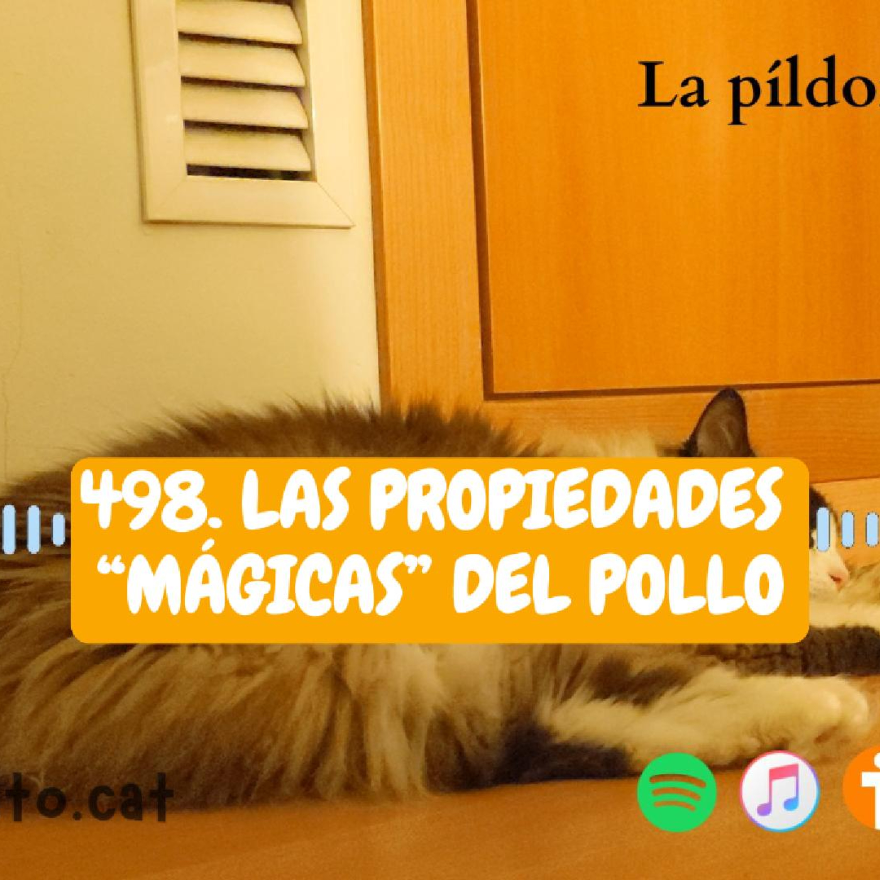 Imagen del episodio 498. Las propiedades “mágicas” del pollo