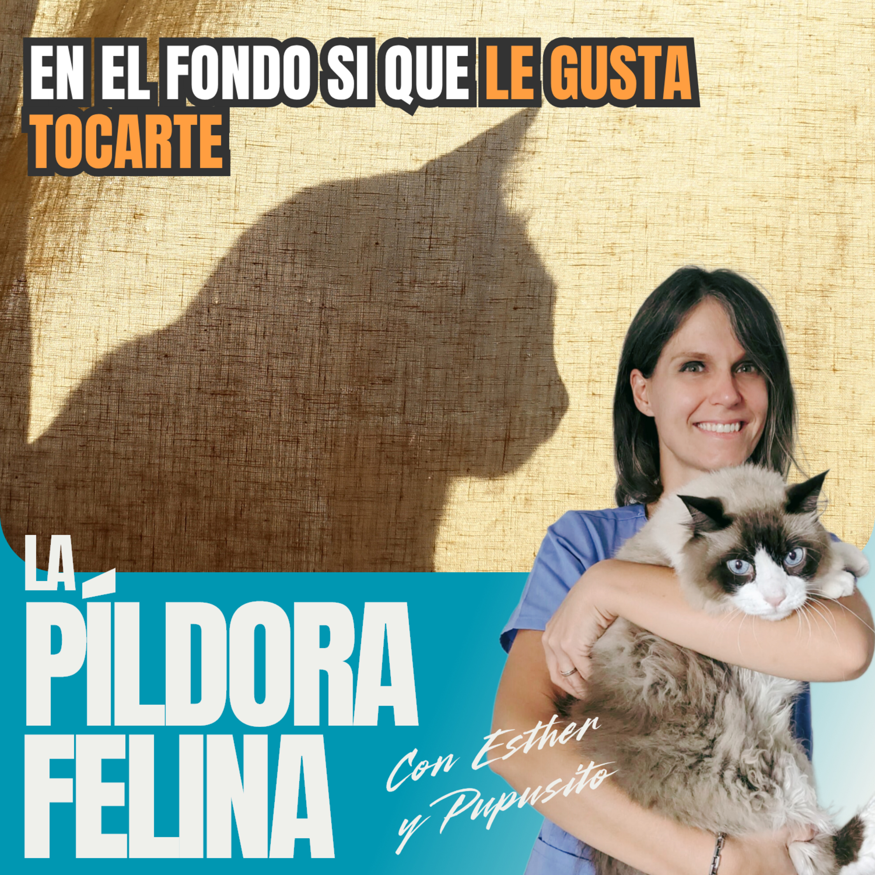 Imagen del episodio 524. En el fondo si que LE GUSTA TOCARTE