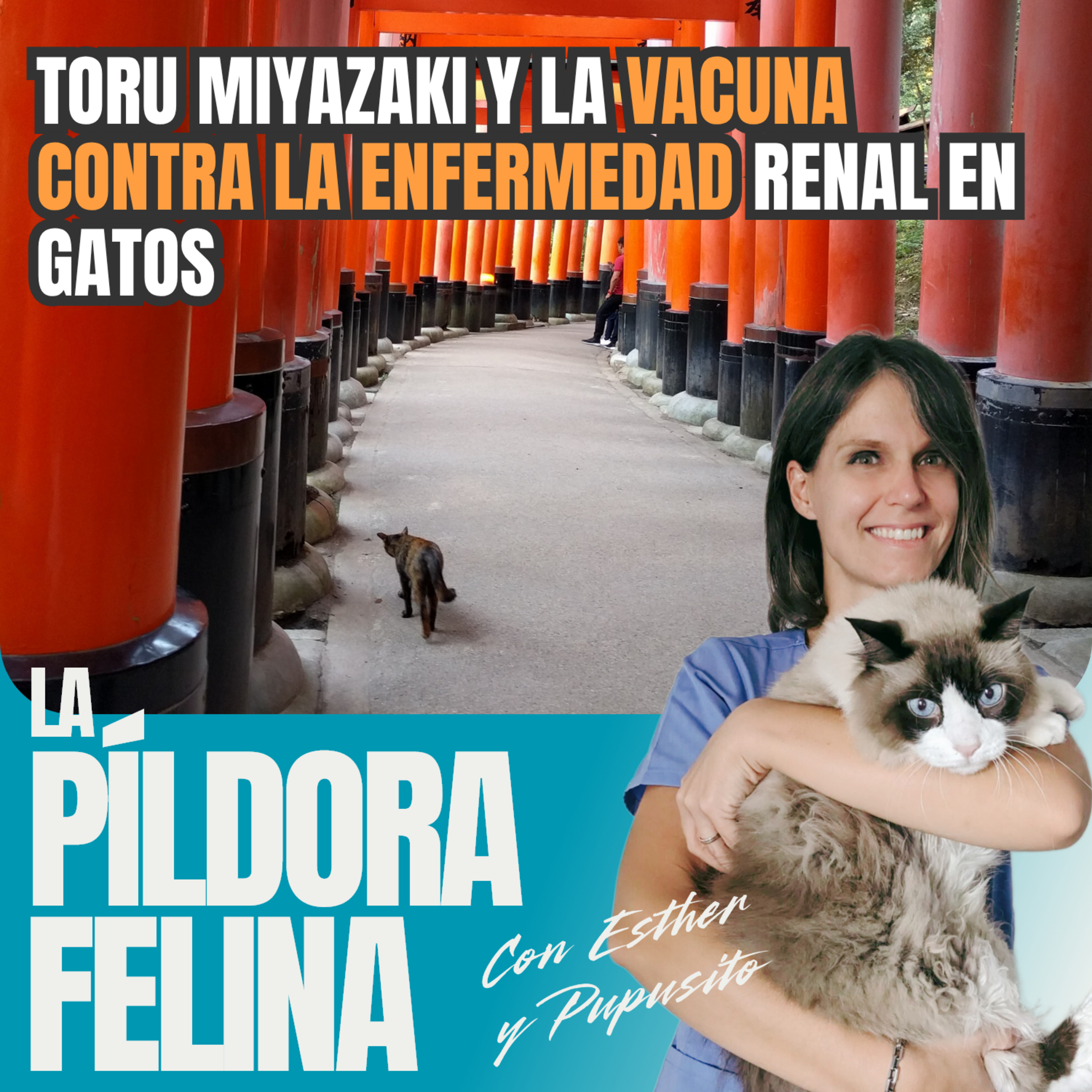 Imagen del episodio 527. Toru Miyazaki y la VACUNA CONTRA LA ENFERMEDAD RENAL en gatos